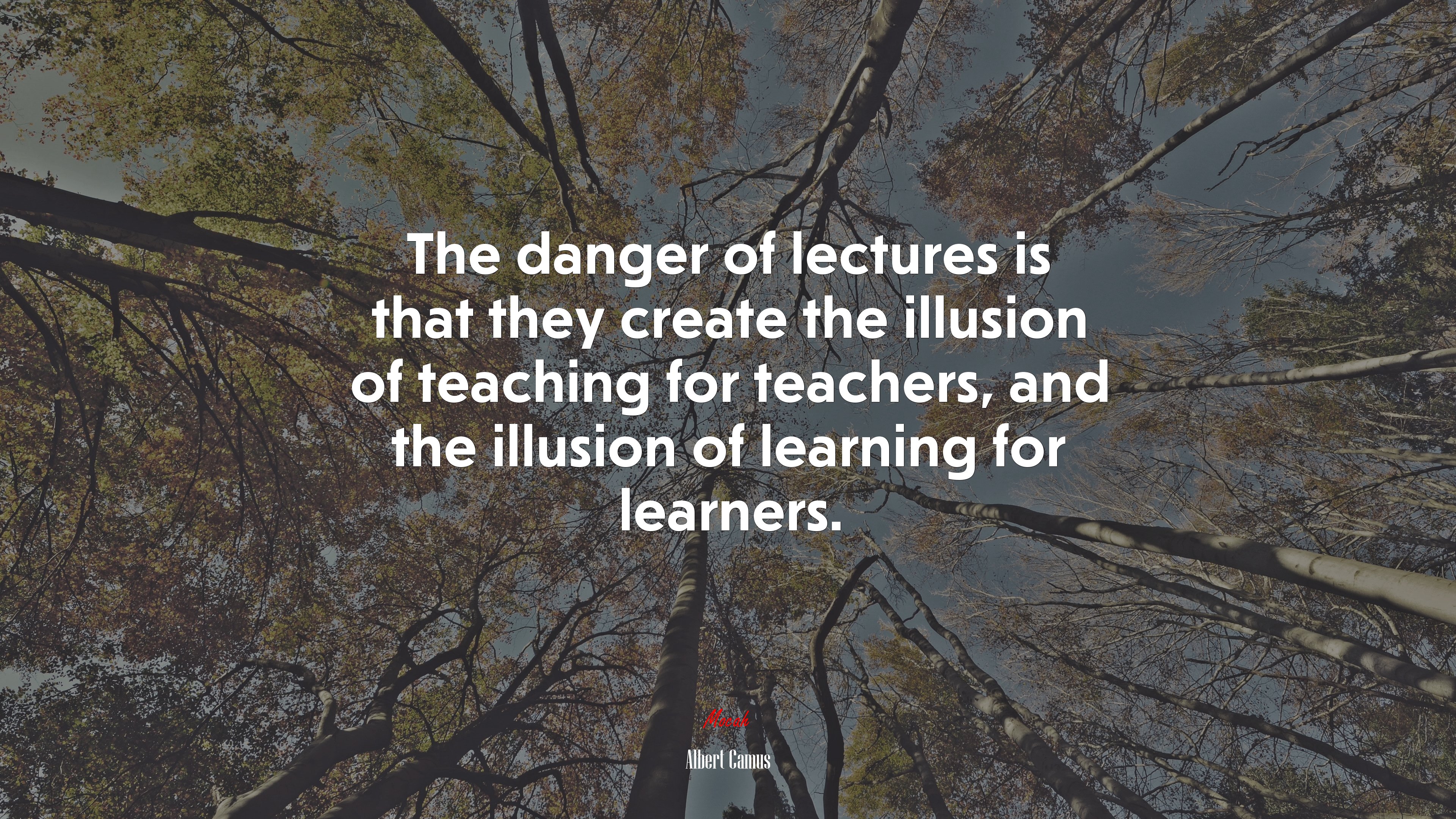 The danger of lectures is that they create the illusion of teaching for teachers, and the illusion of learning for learners. | Albert Camus quote HD Wallpaper
