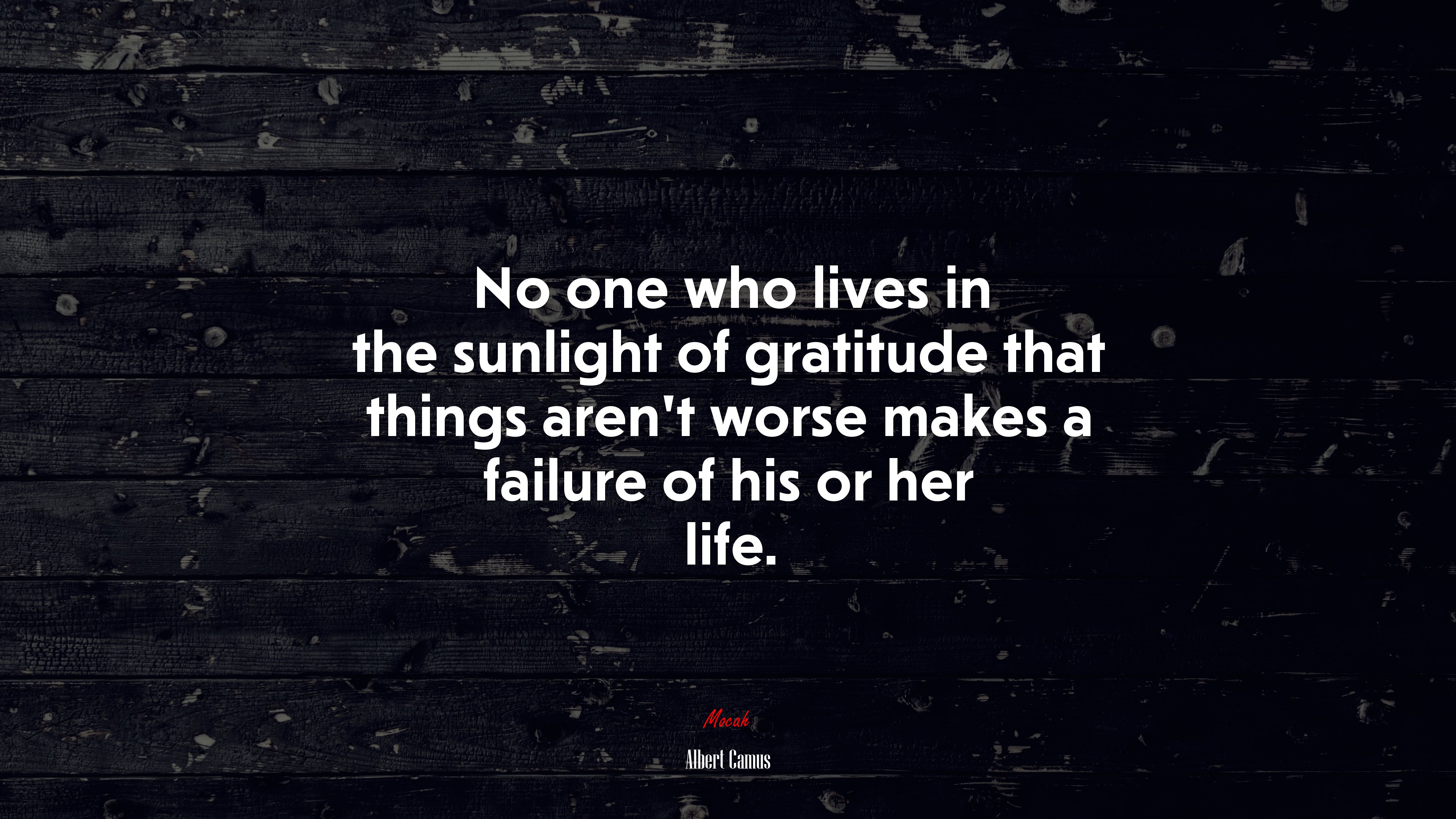 No one who lives in the sunlight of gratitude that things aren’t worse makes a failure of his or her life. | Albert Camus quote HD Wallpaper