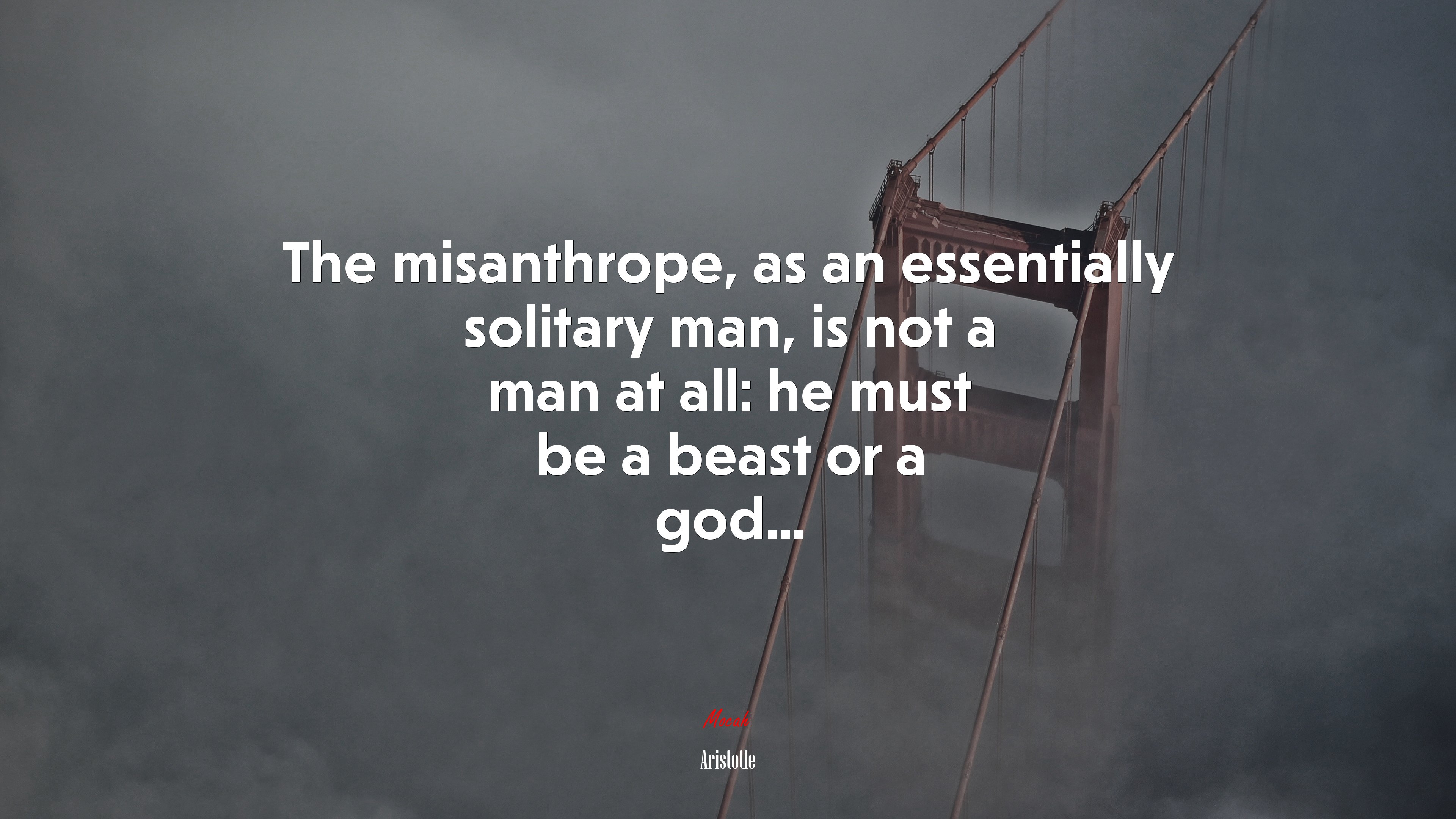 The misanthrope, as an essentially solitary man, is not a man at all: he must be a beast or a god... | Aristotle quote HD Wallpaper