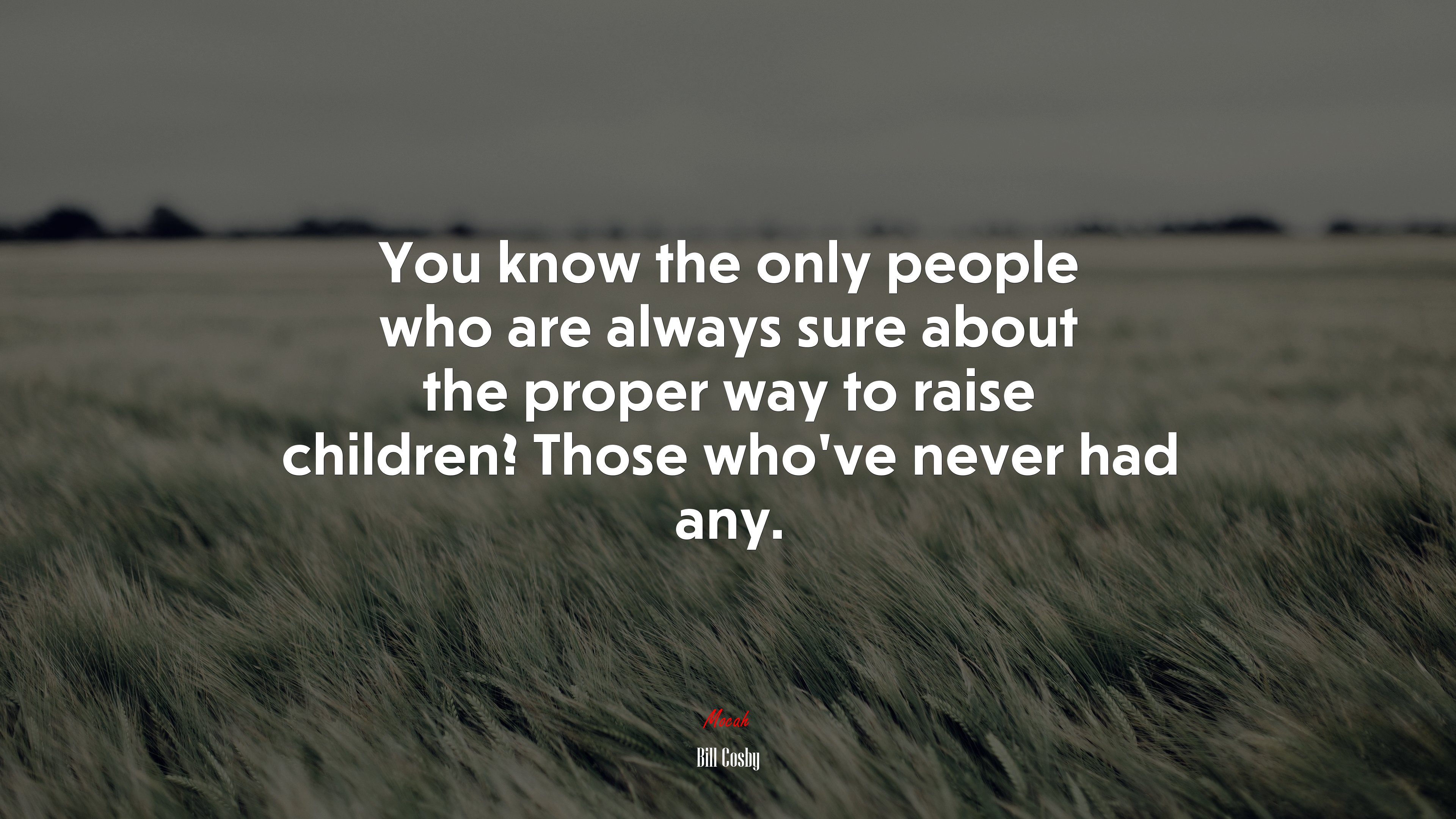 You know the only people who are always sure about the proper way to raise children? Those who’ve never had any. | Bill Cosby quote HD Wallpaper