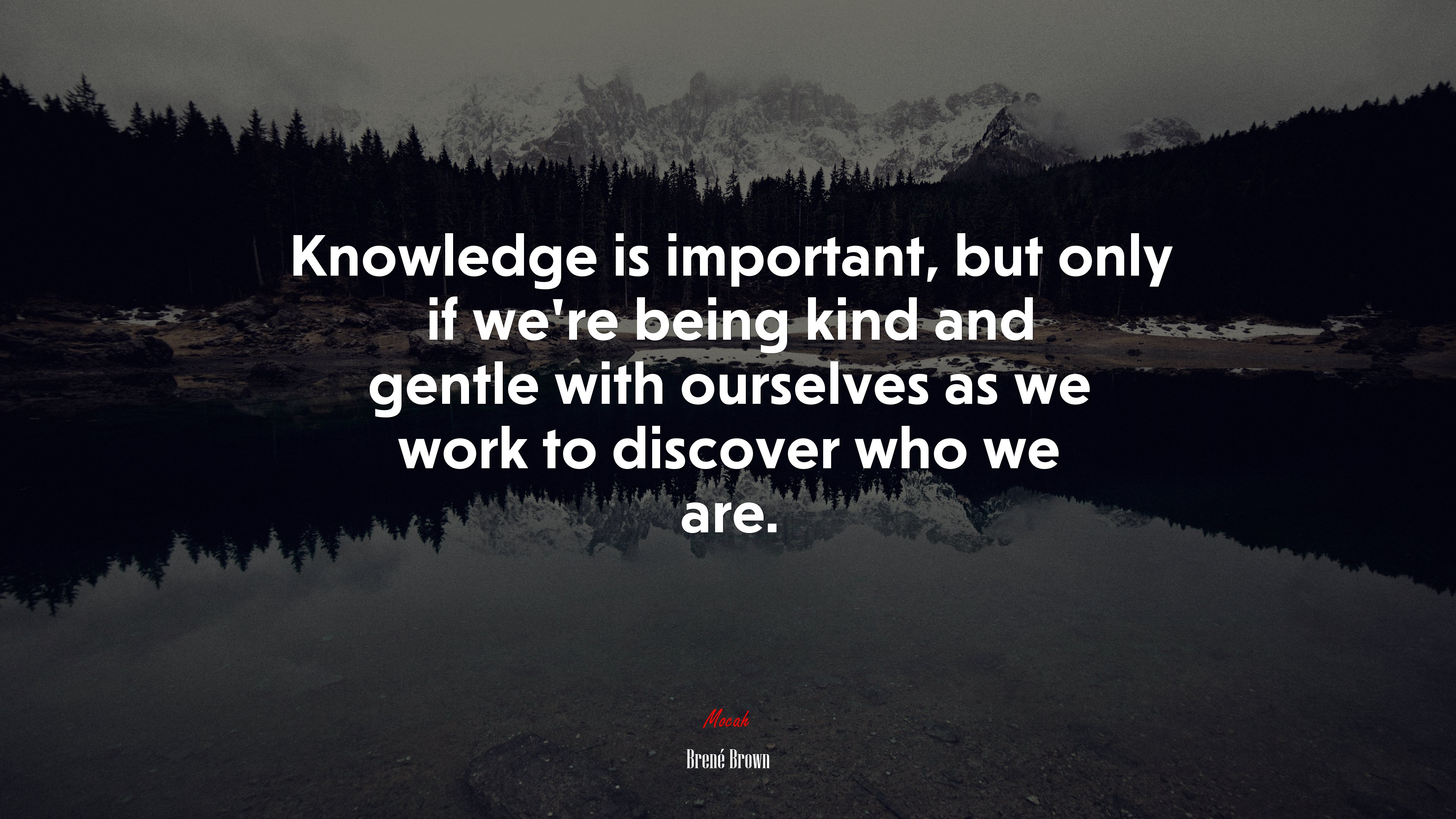 Knowledge is important, but only if we’re being kind and gentle with ourselves as we work to discover who we are. | Brené Brown quote HD Wallpaper