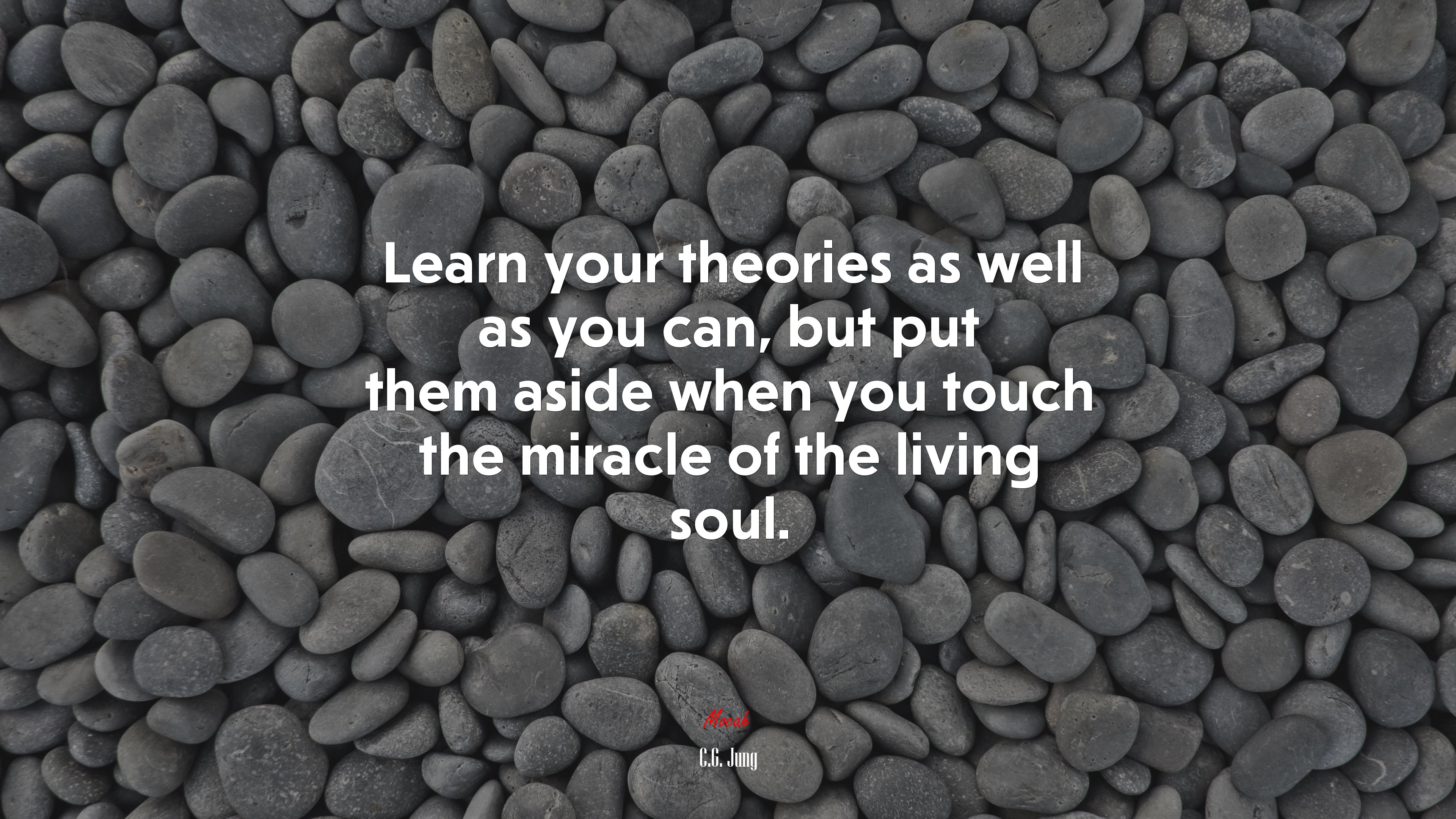 Learn your theories as well as you can, but put them aside when you touch the miracle of the living soul. | C.G. Jung quote HD Wallpaper