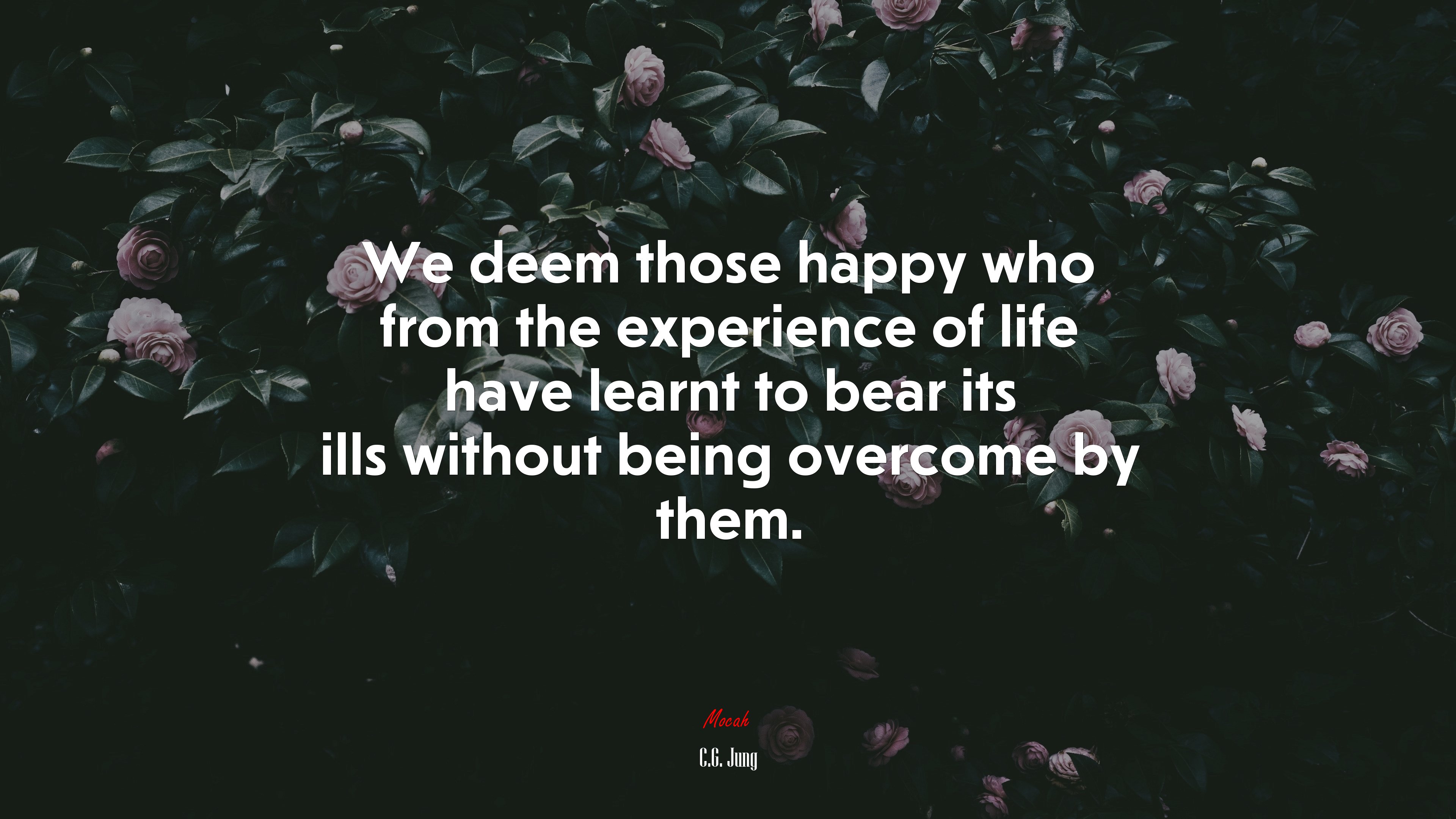 We deem those happy who from the experience of life have learnt to bear its ills without being overcome by them. | C.G. Jung quote HD Wallpaper