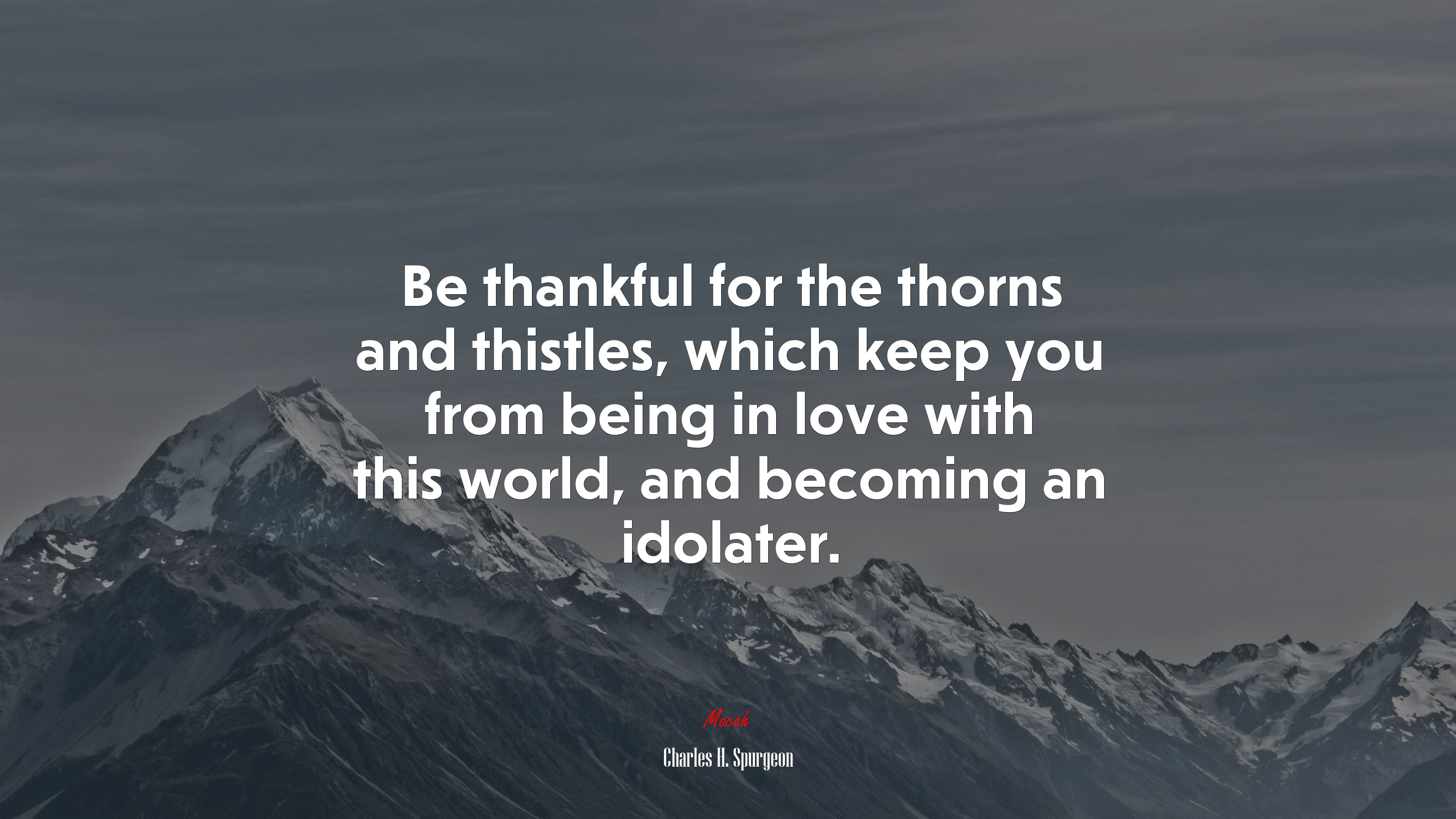 Be thankful for the thorns and thistles, which keep you from being in love with this world, and becoming an idolater. | Charles H. Spurgeon quote HD Wallpaper
