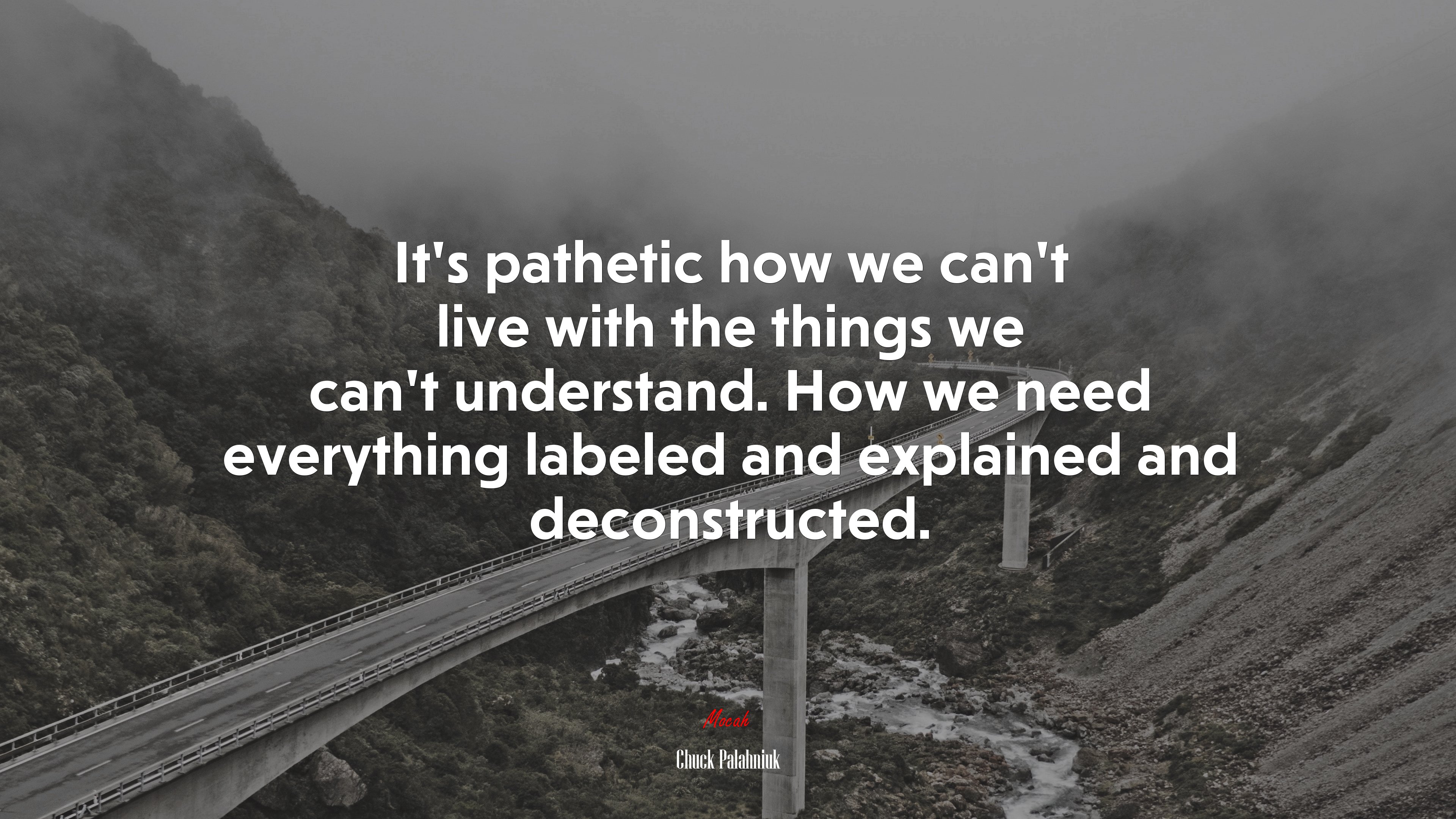 It’s pathetic how we can’t live with the things we can’t understand. How we need everything labeled and explained and deconstructed. | Chuck Palahniuk quote HD Wallpaper