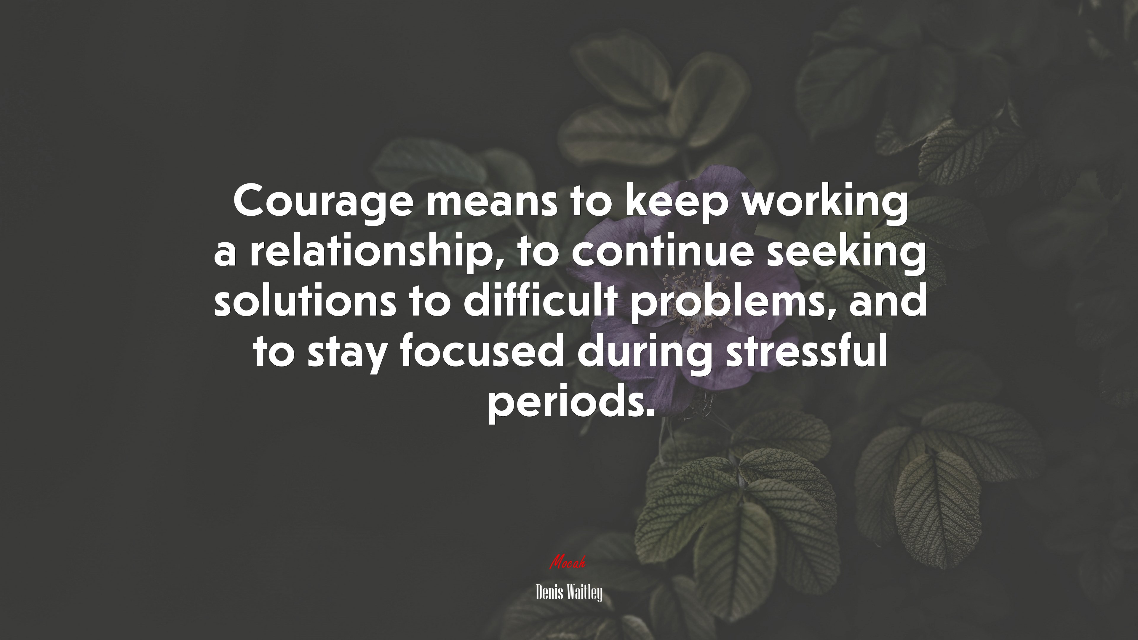 Courage means to keep working a relationship, to continue seeking solutions to difficult problems, and to stay focused during stressful periods. | Denis Waitley quote HD Wallpaper