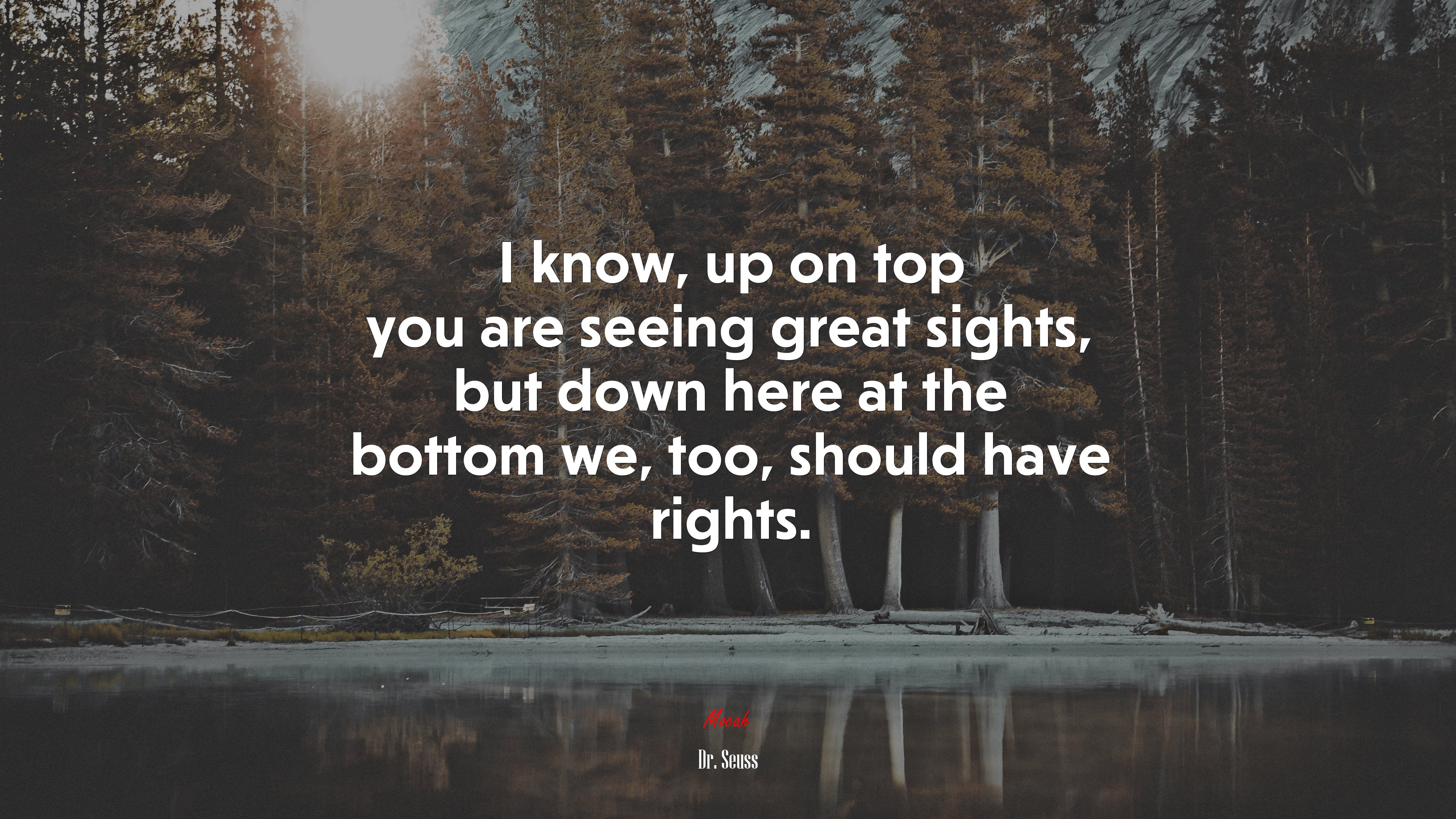 I know, up on top you are seeing great sights, but down here at the bottom we, too, should have rights. | Dr. Seuss quote HD Wallpaper