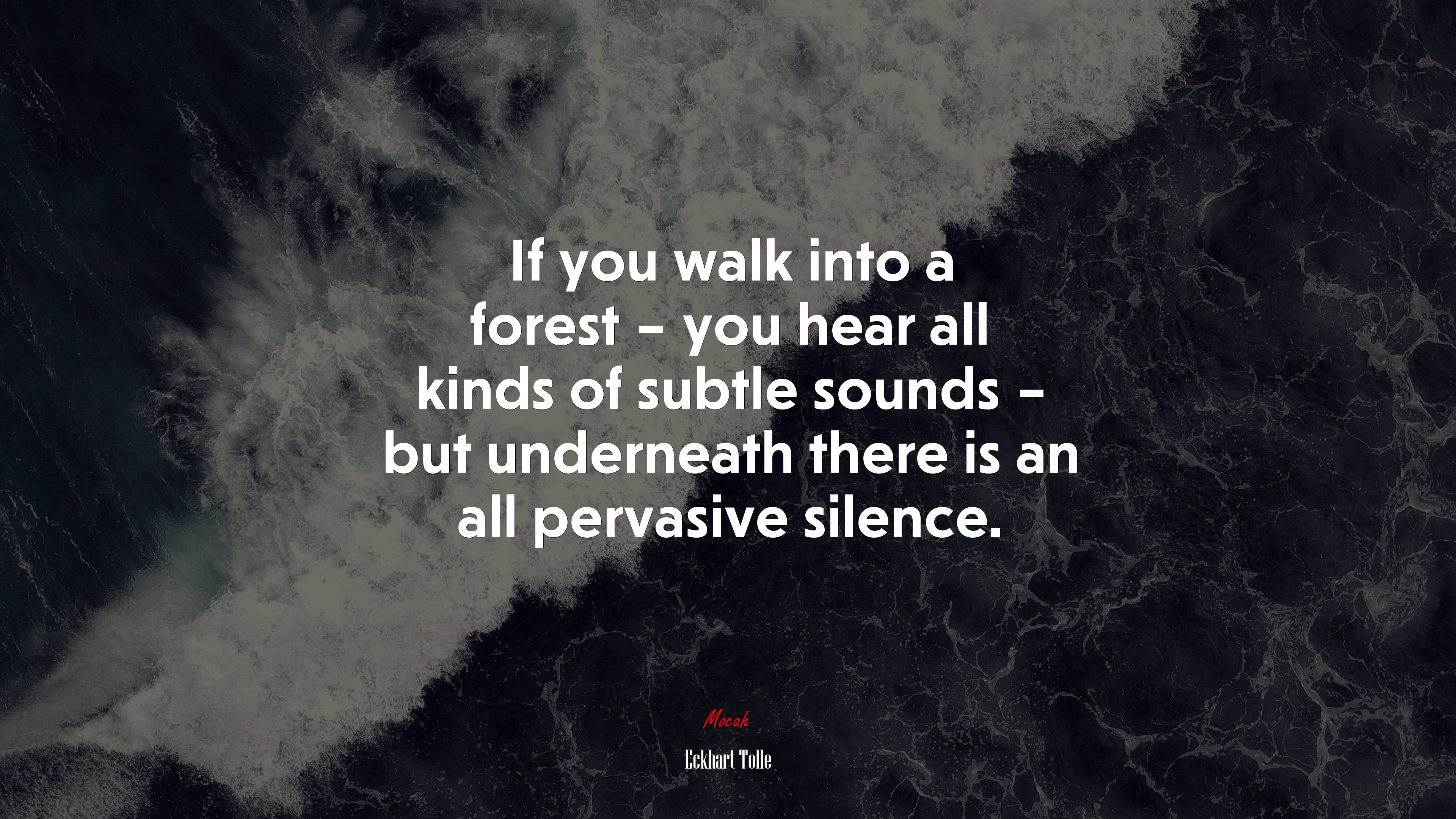 If you walk into a forest – you hear all kinds of subtle sounds – but underneath there is an all pervasive silence. | Eckhart Tolle quote HD Wallpaper