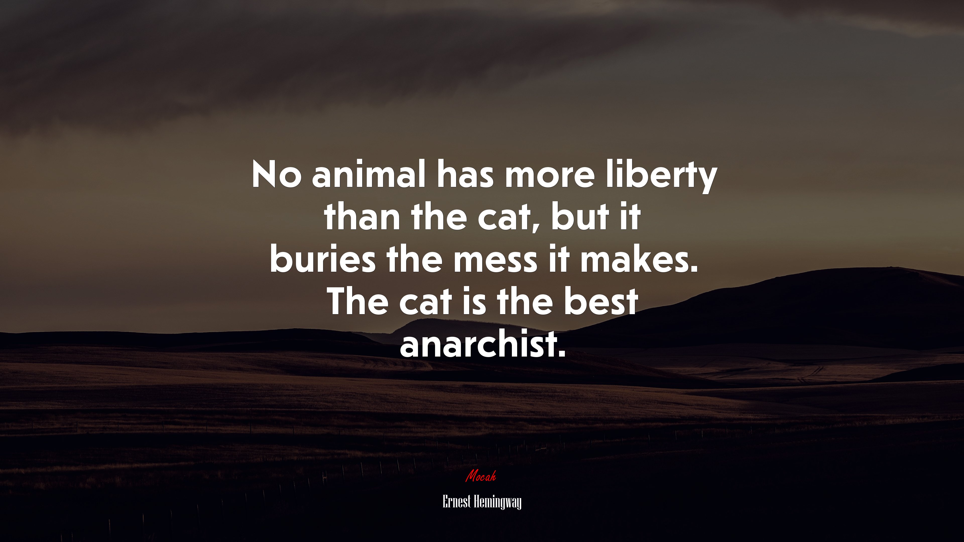 No animal has more liberty than the cat, but it buries the mess it makes. The cat is the best anarchist. | Ernest Hemingway quote HD Wallpaper