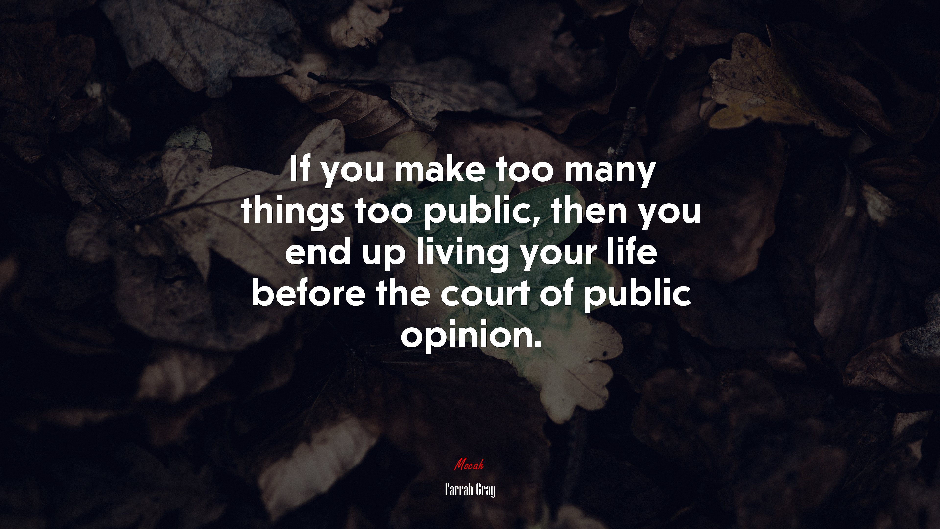 If you make too many things too public, then you end up living your life before the court of public opinion. | Farrah Gray quote HD Wallpaper