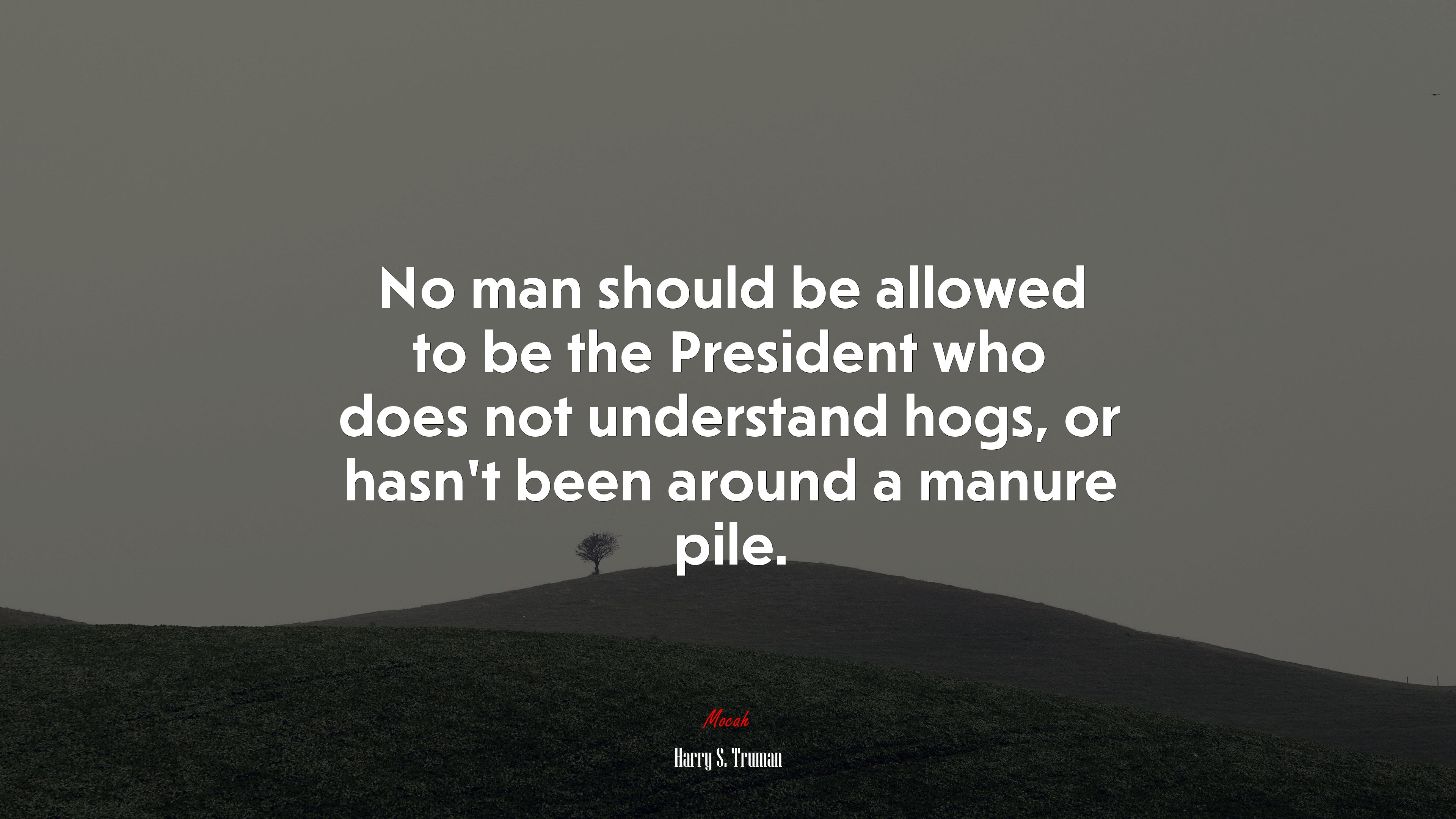 No man should be allowed to be the President who does not understand hogs, or hasn’t been around a manure pile. | Harry S. Truman quote HD Wallpaper