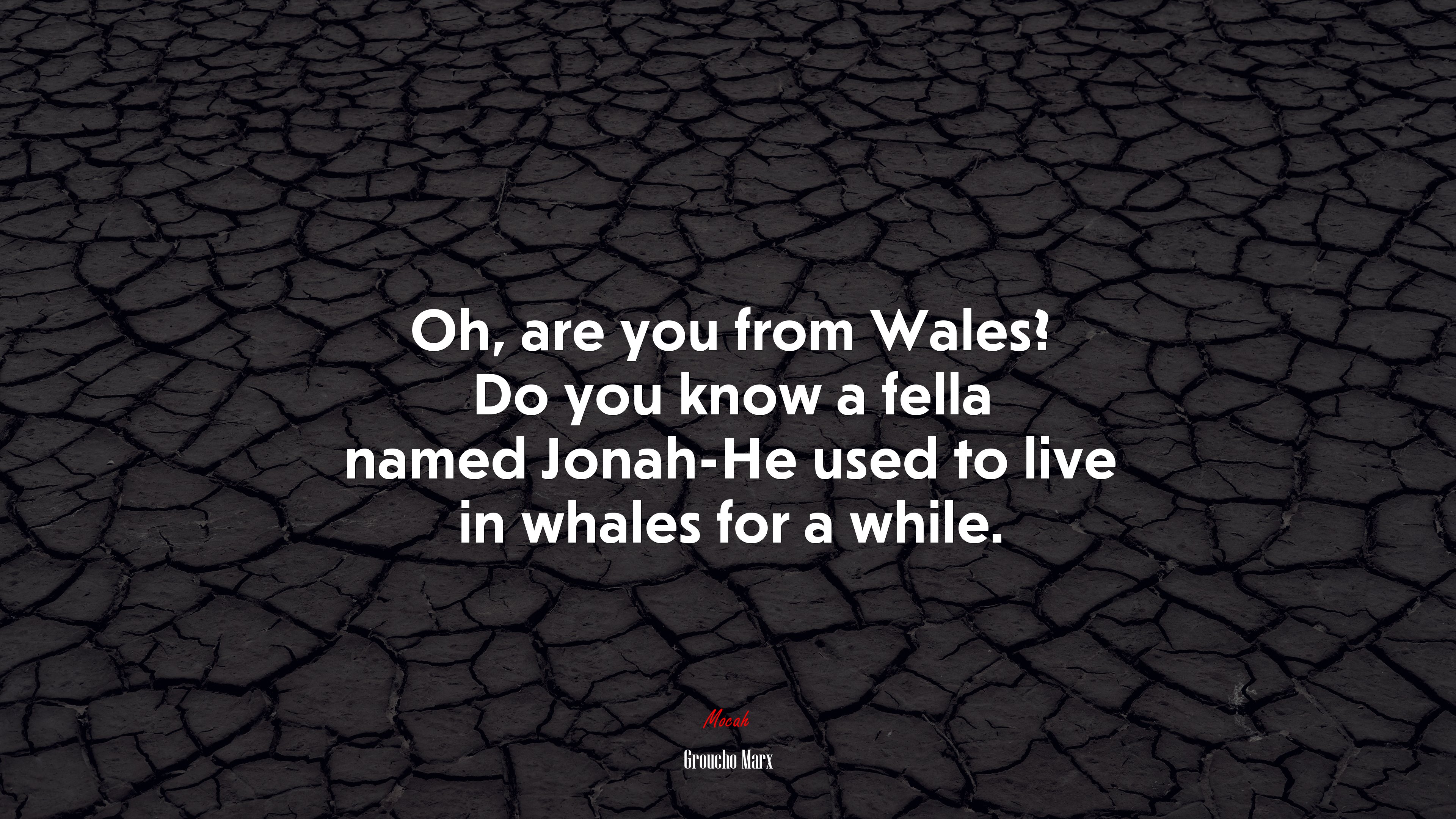 Oh, are you from Wales? Do you know a fella named Jonah-He used to live in whales for a while. | Groucho Marx quote HD Wallpaper