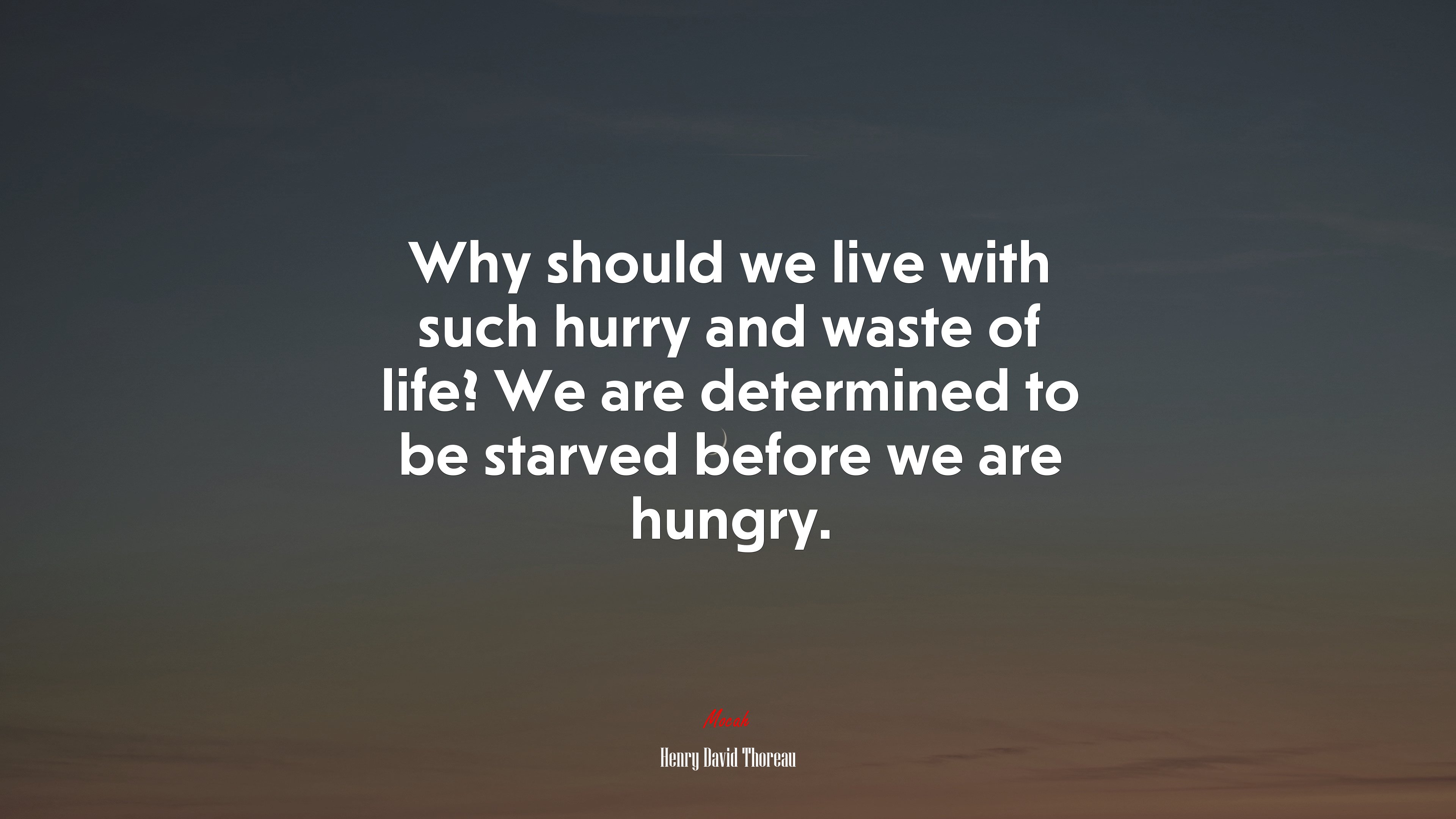Why should we live with such hurry and waste of life? We are determined to be starved before we are hungry. | Henry David Thoreau quote HD Wallpaper
