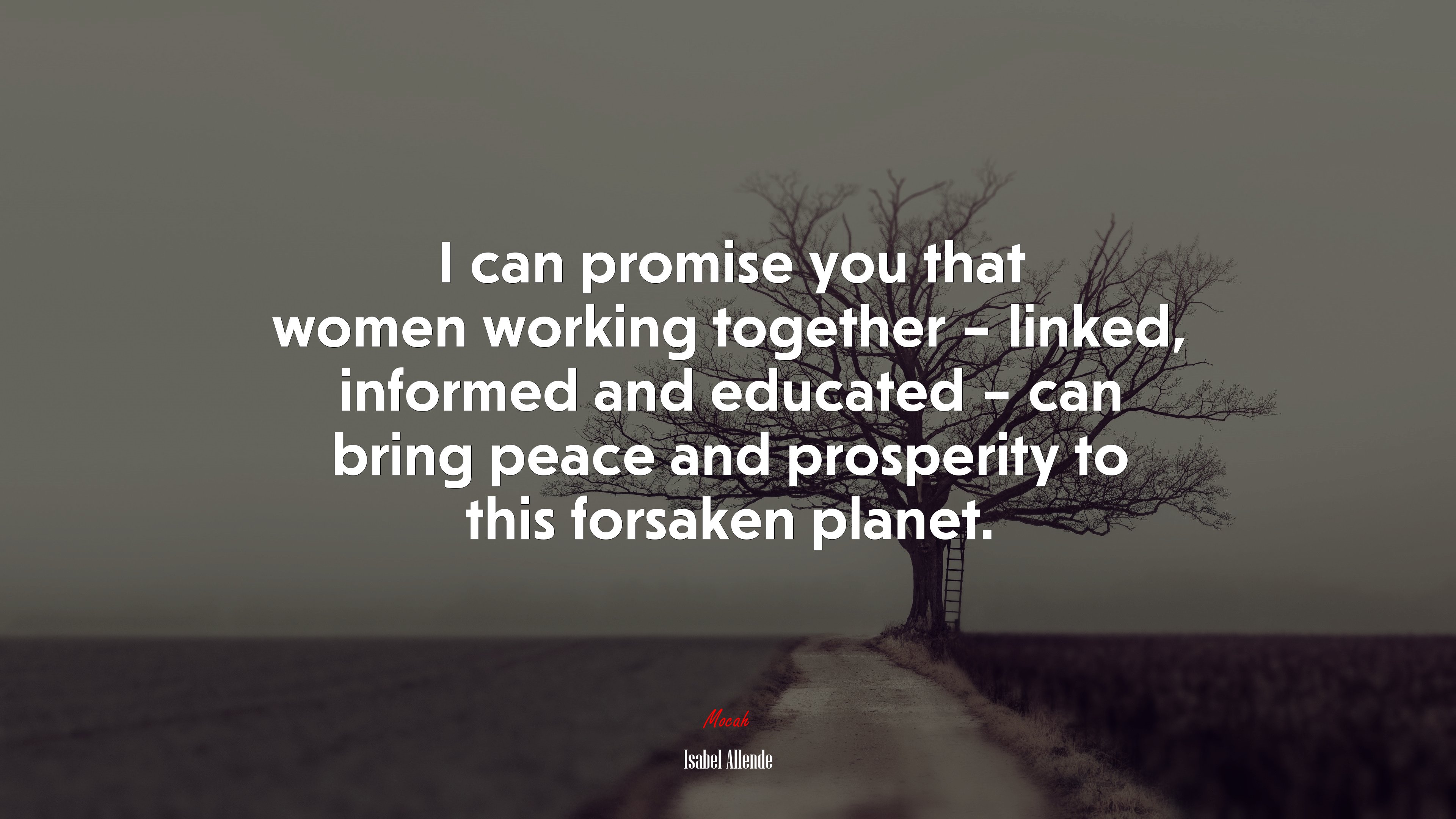 I can promise you that women working together – linked, informed and educated – can bring peace and prosperity to this forsaken planet. | Isabel Allende quote HD Wallpaper