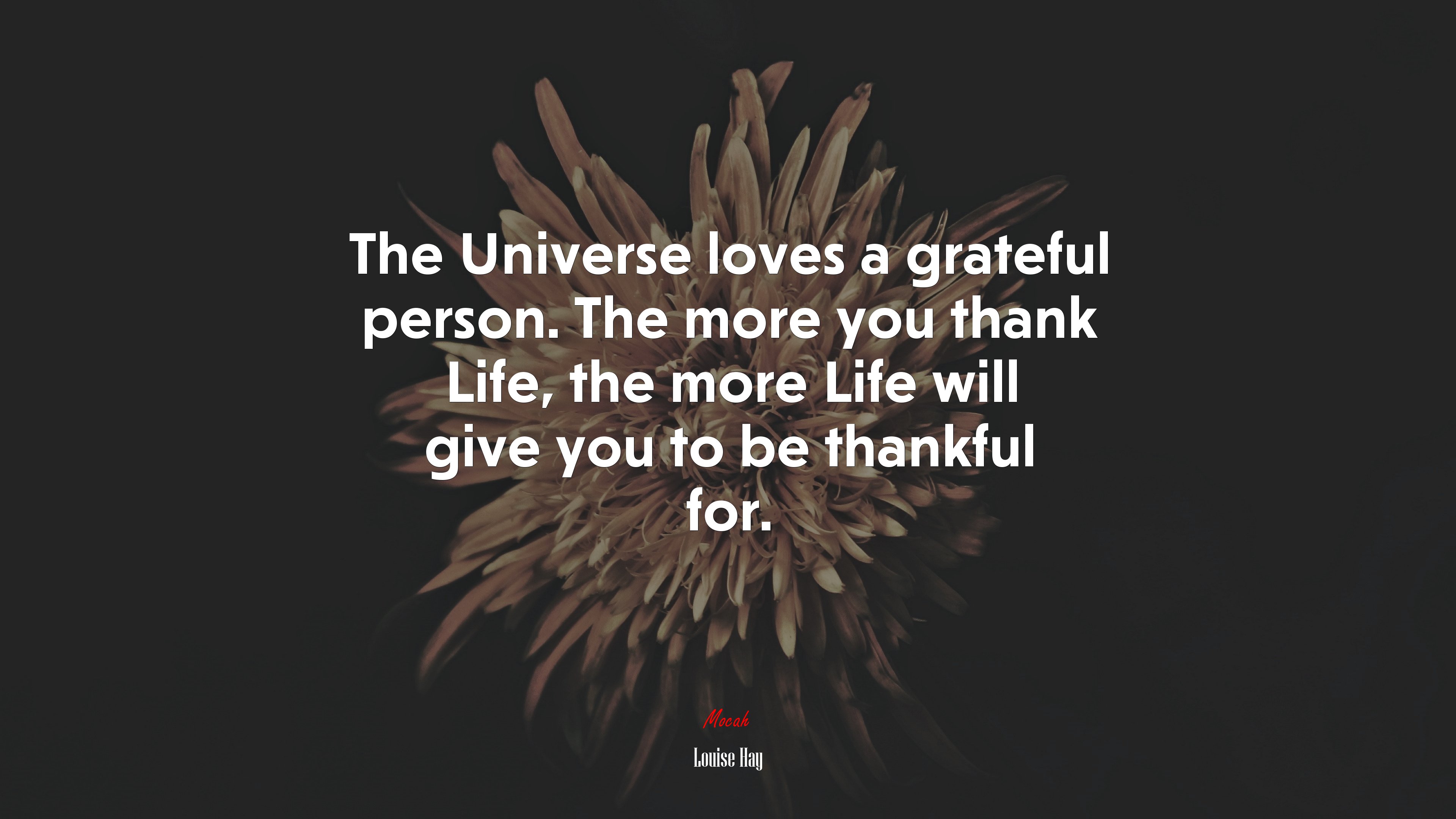 The Universe loves a grateful person. The more you thank Life, the more Life will give you to be thankful for. | Louise Hay quote HD Wallpaper