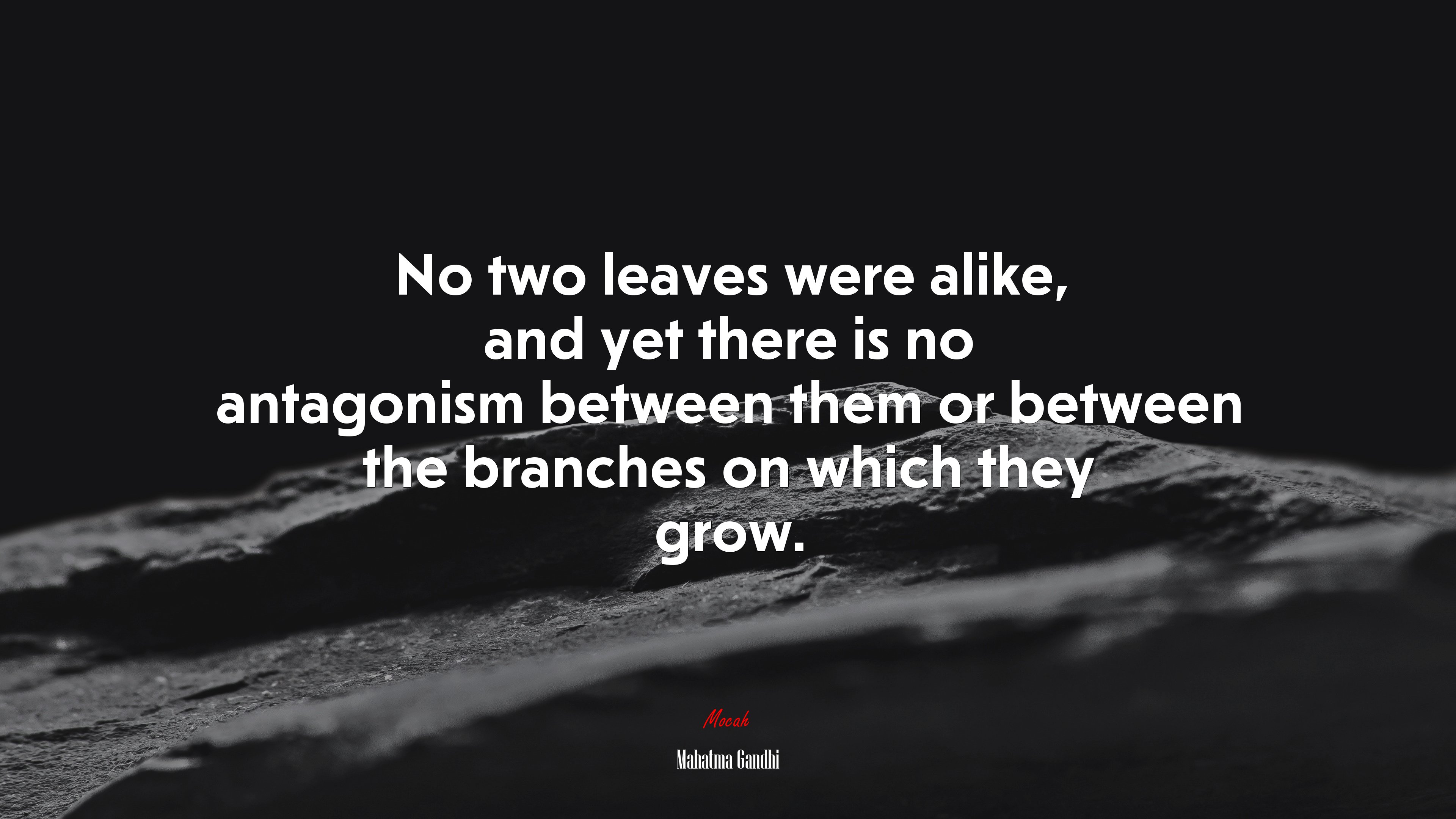 No two leaves were alike, and yet there is no antagonism between them or between the branches on which they grow. | Mahatma Gandhi quote HD Wallpaper