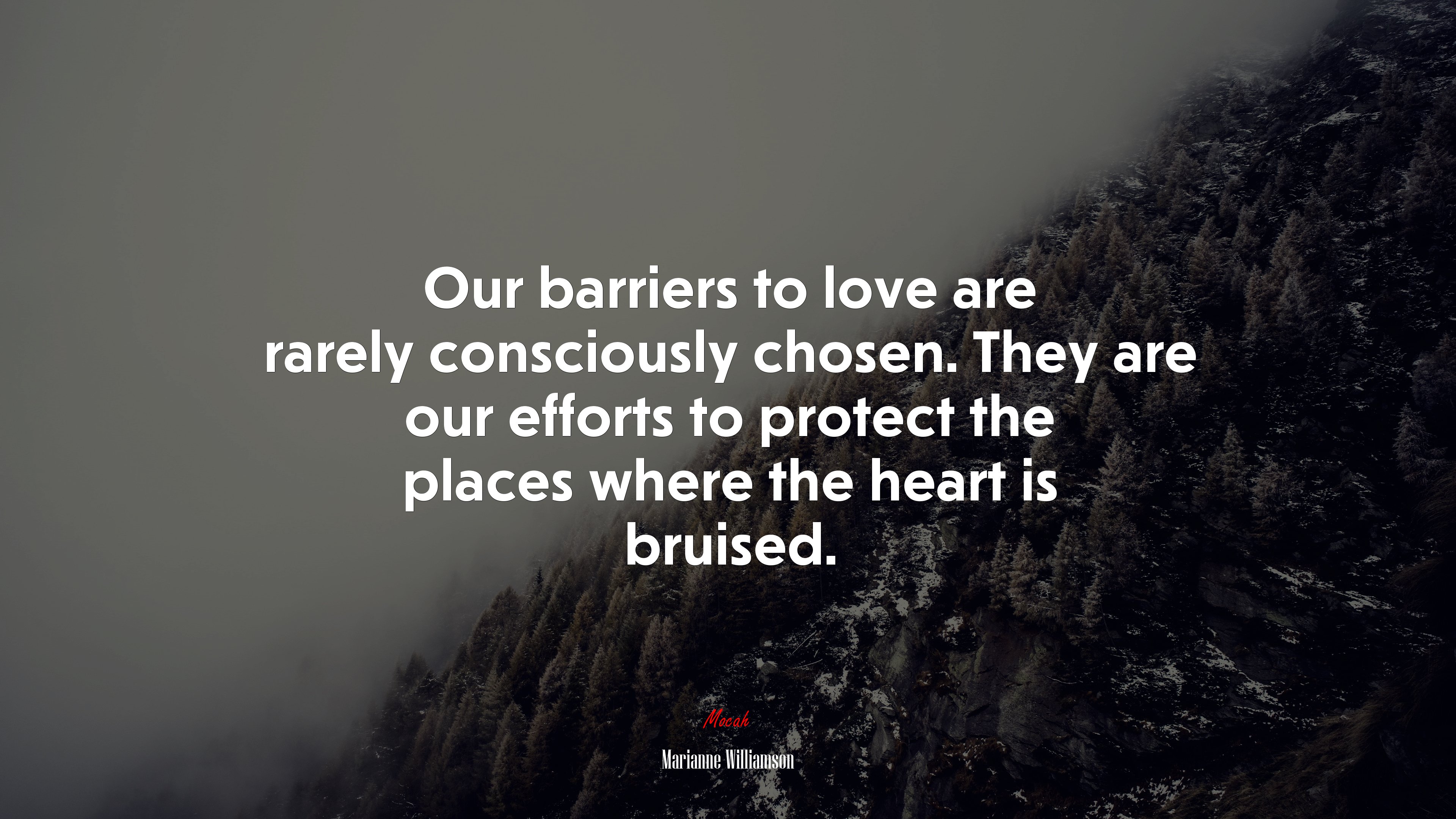 Our barriers to love are rarely consciously chosen. They are our efforts to protect the places where the heart is bruised. | Marianne Williamson quote HD Wallpaper