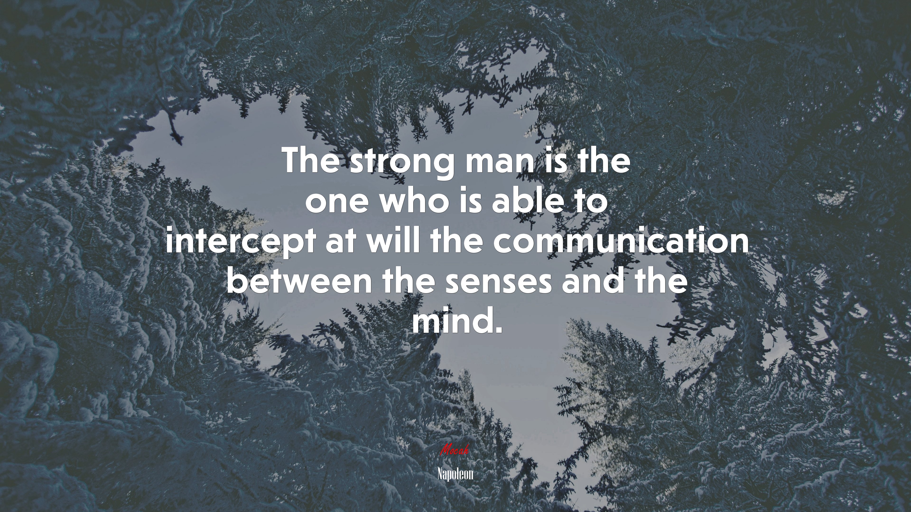 The strong man is the one who is able to intercept at will the communication between the senses and the mind. | Napoleon quote HD Wallpaper