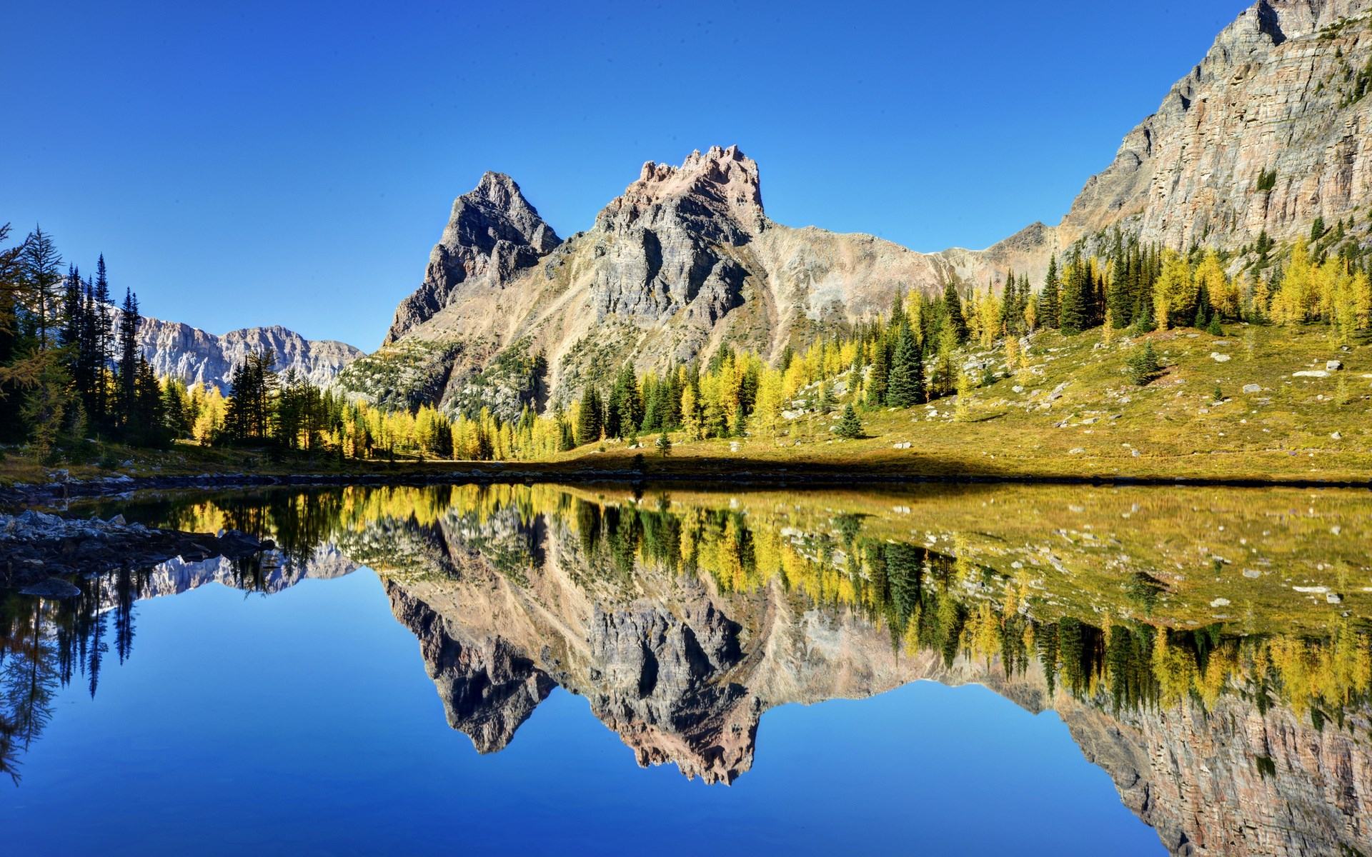 Mountain lake reflection with autumn trees HD Wallpaper