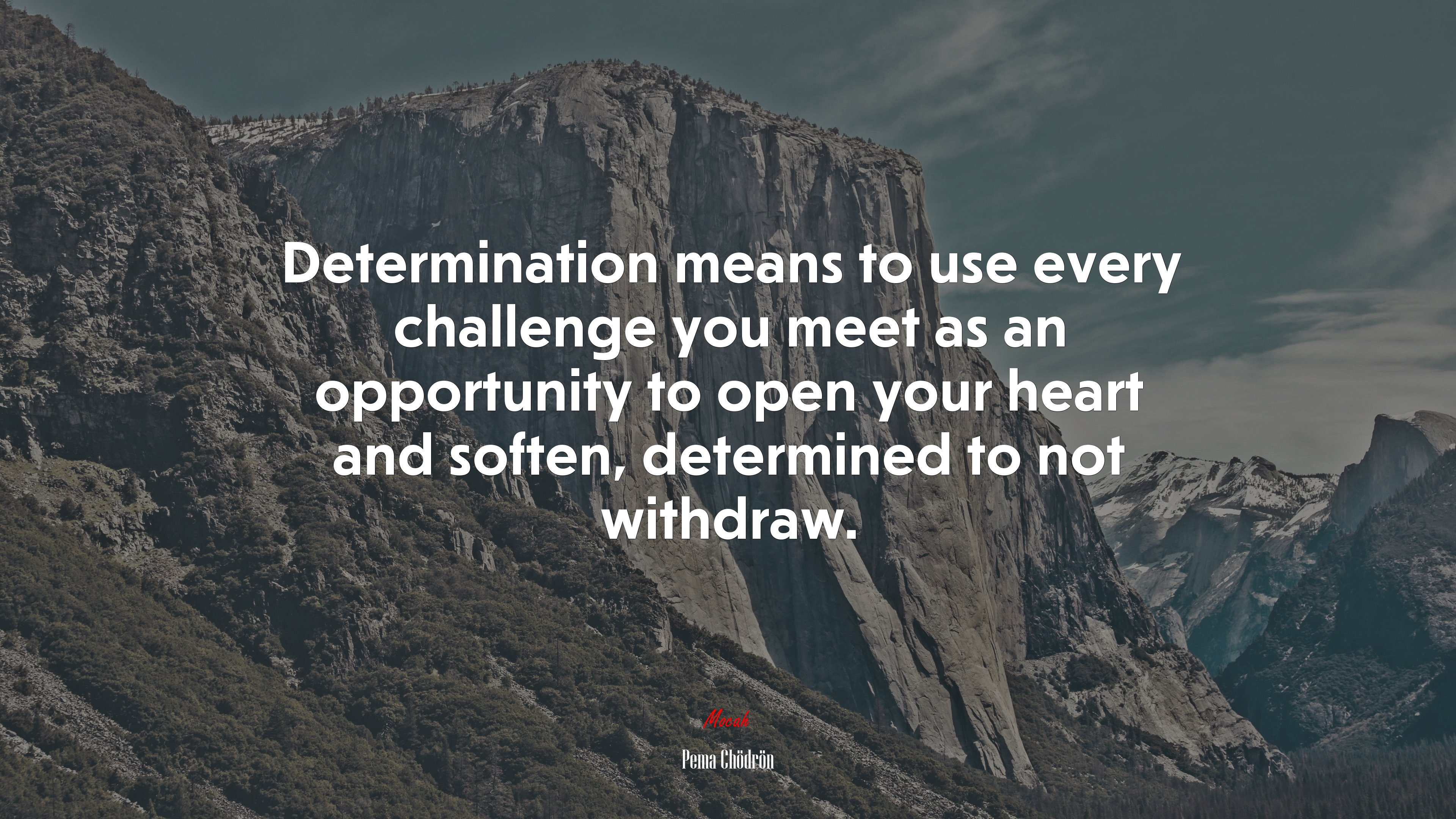 Determination means to use every challenge you meet as an opportunity to open your heart and soften, determined to not withdraw. | Pema Chödrön quote HD Wallpaper