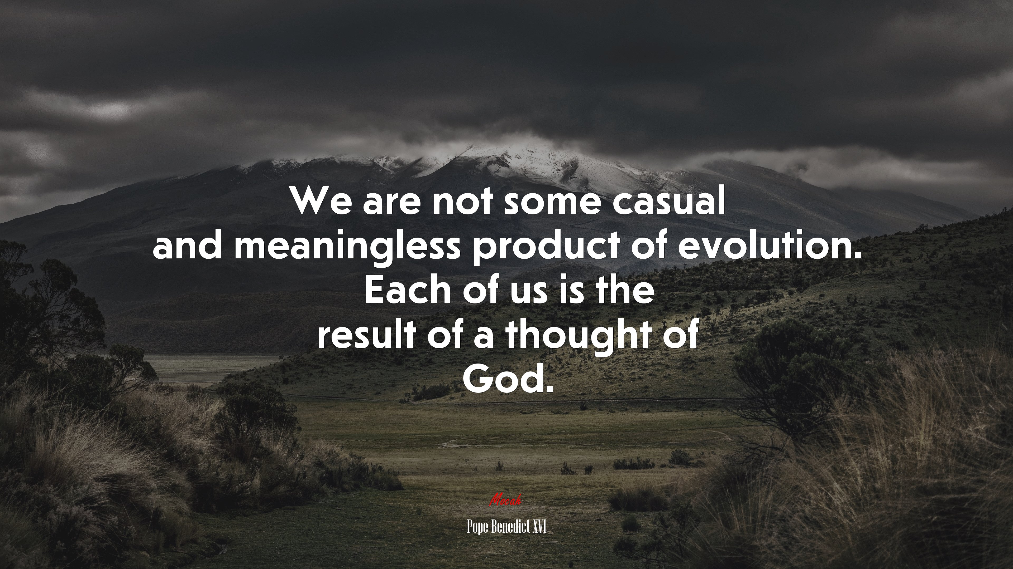 We are not some casual and meaningless product of evolution. Each of us is the result of a thought of God. | Pope Benedict XVI quote HD Wallpaper