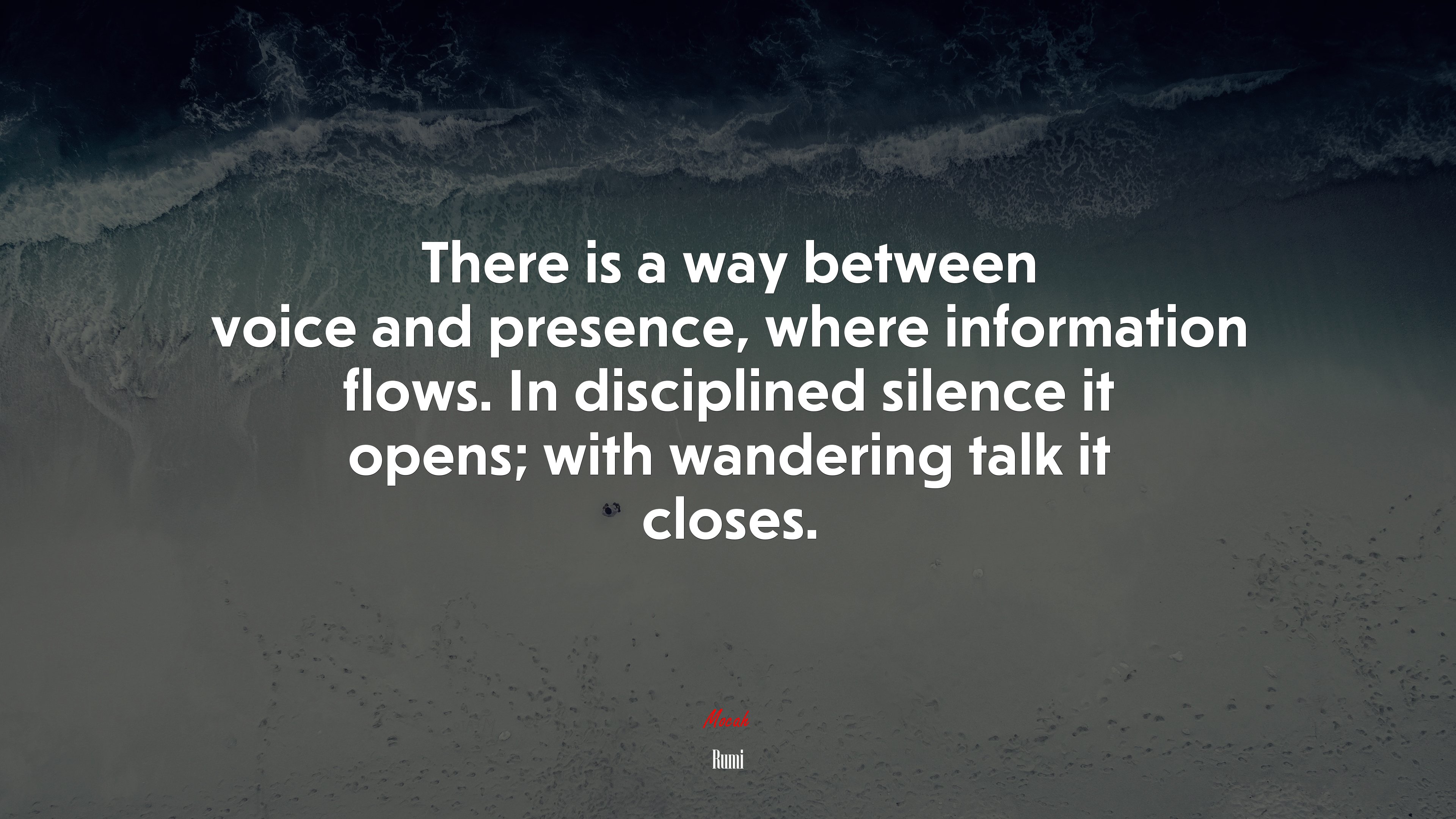 There is a way between voice and presence, where information flows. In disciplined silence it opens; with wandering talk it closes. | Rumi quote HD Wallpaper