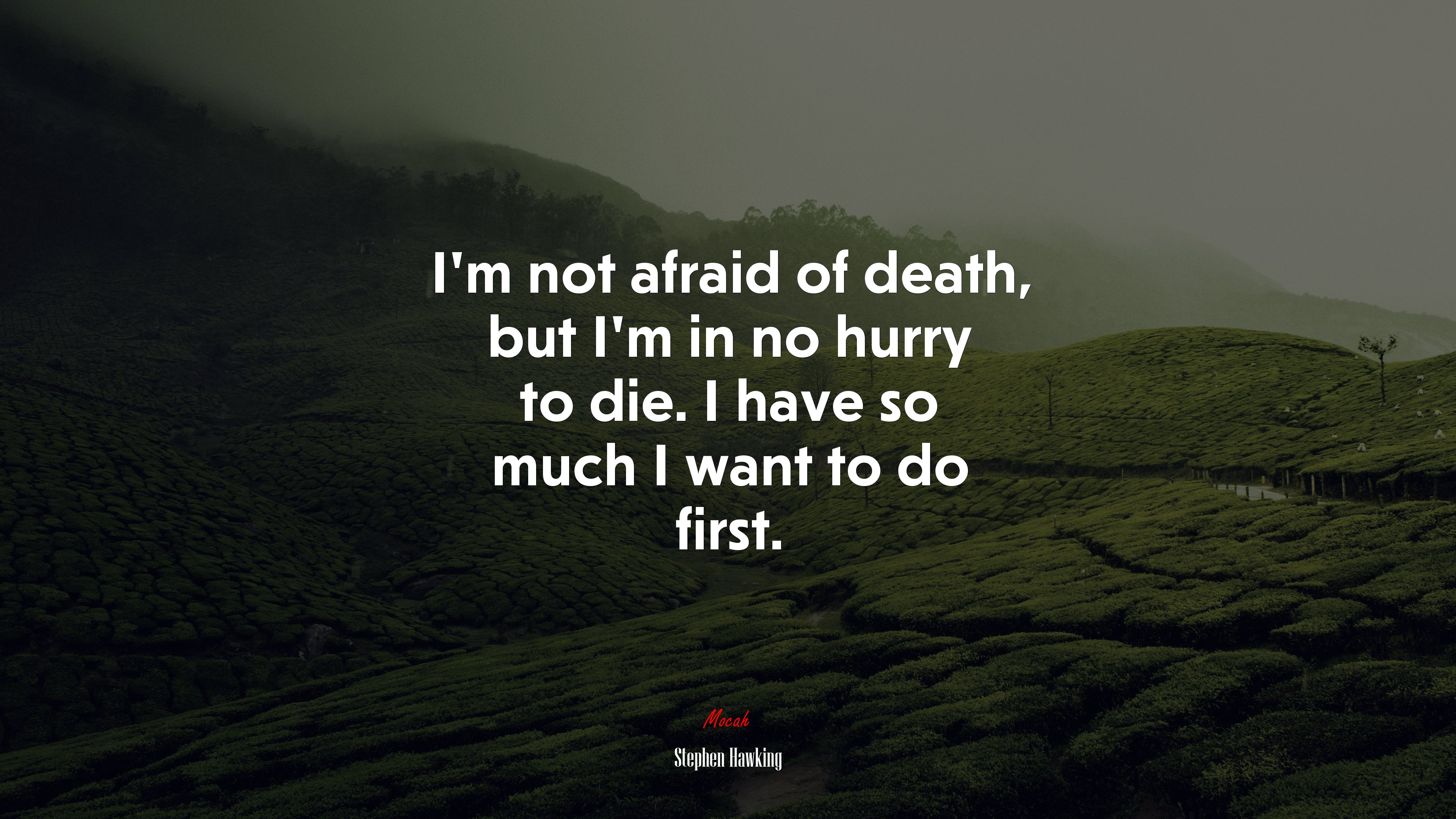 I’m not afraid of death, but I’m in no hurry to die. I have so much I want to do first. | Stephen Hawking quote HD Wallpaper