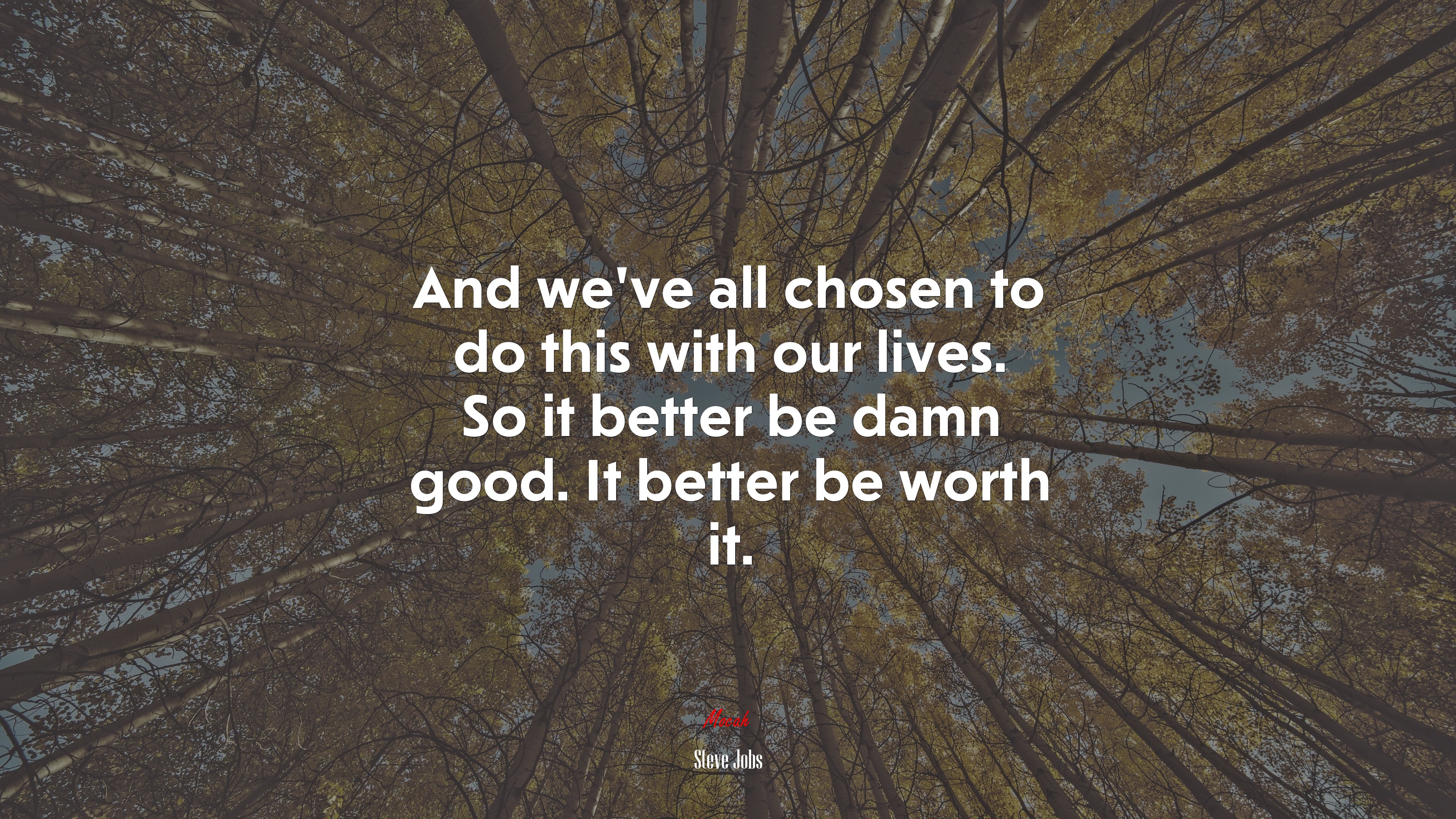 And we’ve all chosen to do this with our lives. So it better be damn good. It better be worth it. | Steve Jobs quote HD Wallpaper