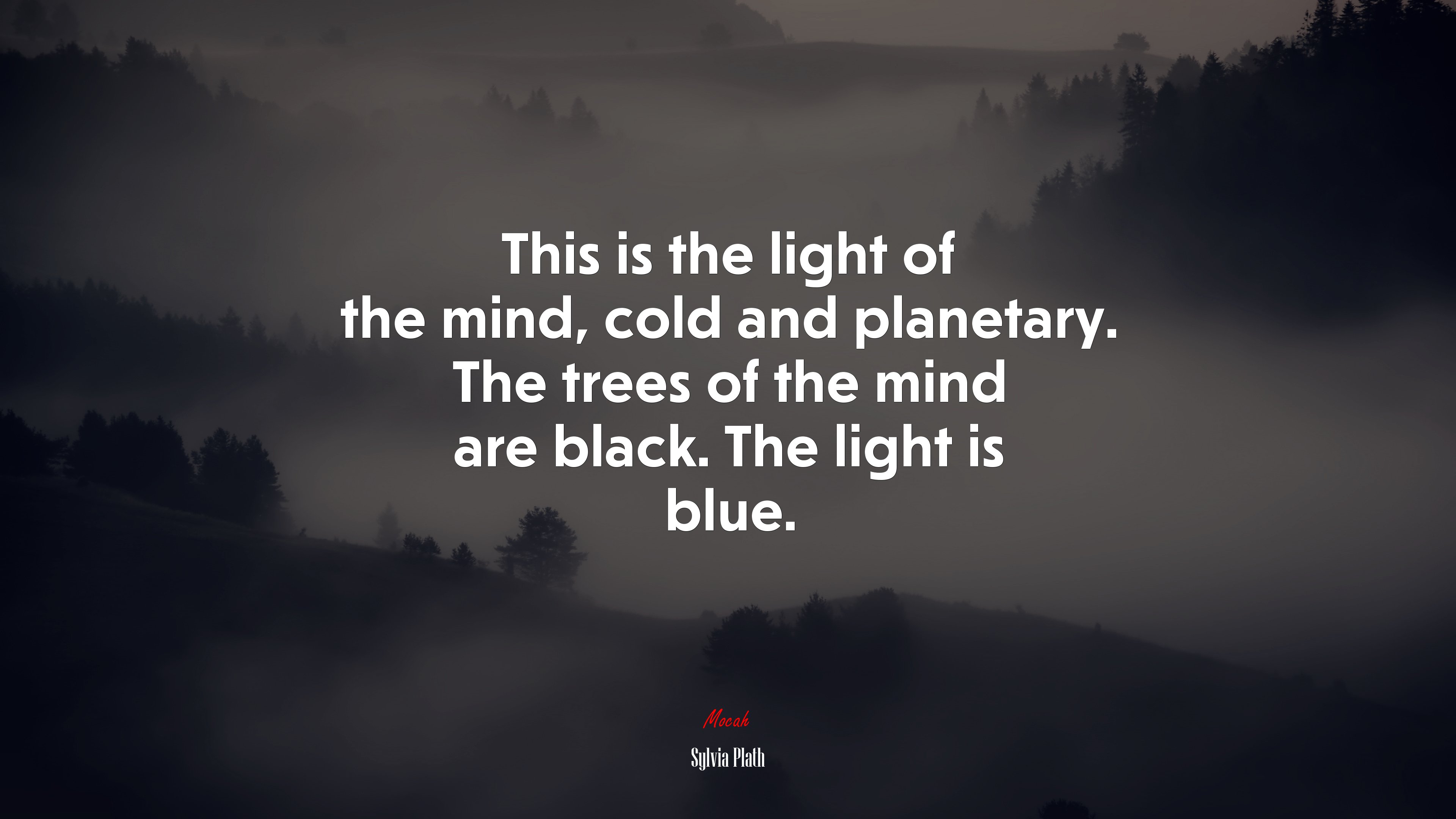 This is the light of the mind, cold and planetary. The trees of the mind are black. The light is blue. | Sylvia Plath quote HD Wallpaper