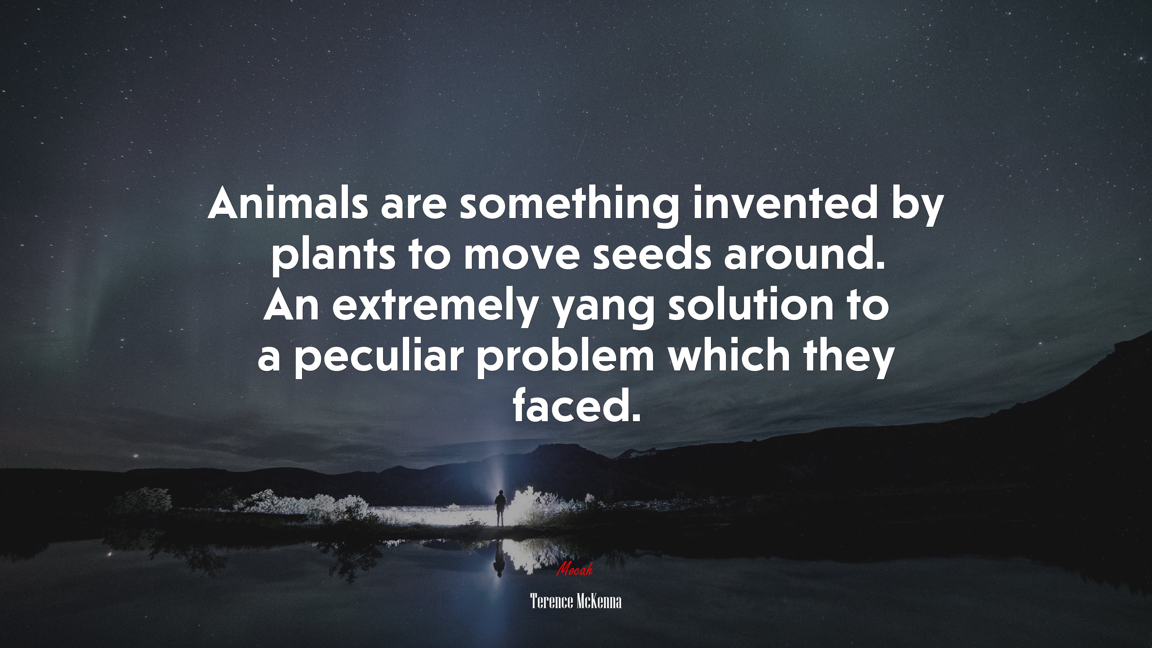 Animals are something invented by plants to move seeds around. An extremely yang solution to a peculiar problem which they faced. | Terence McKenna quote HD Wallpaper
