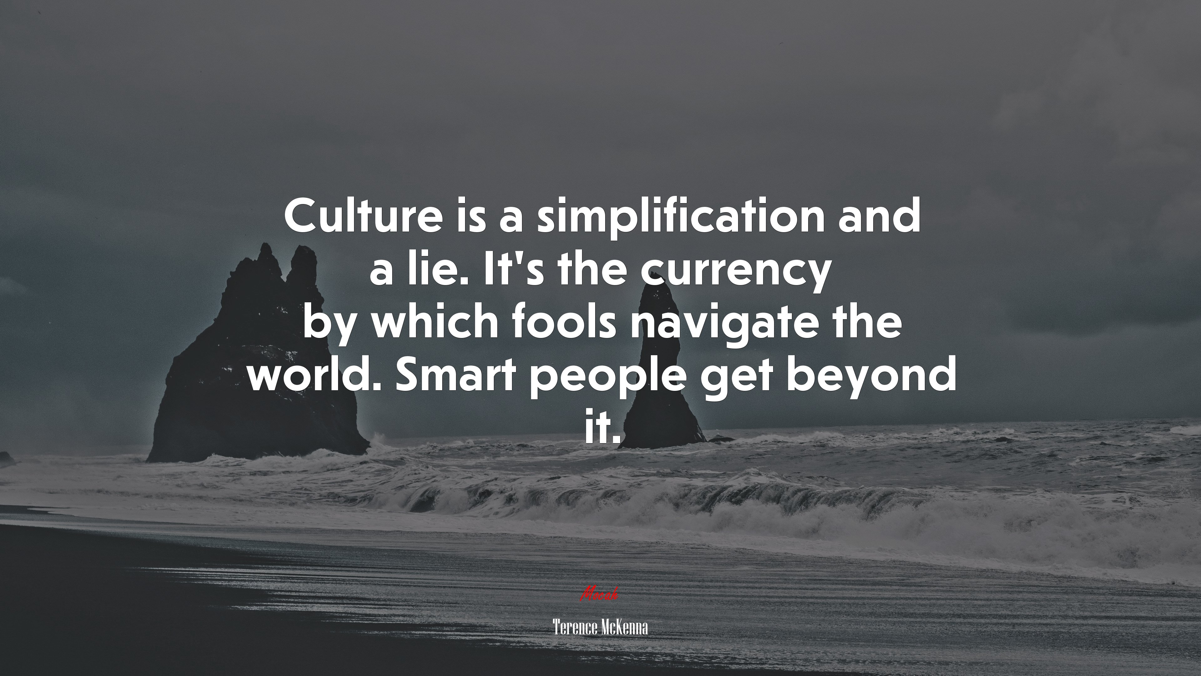 Culture is a simplification and a lie. It’s the currency by which fools navigate the world. Smart people get beyond it. | Terence McKenna quote HD Wallpaper