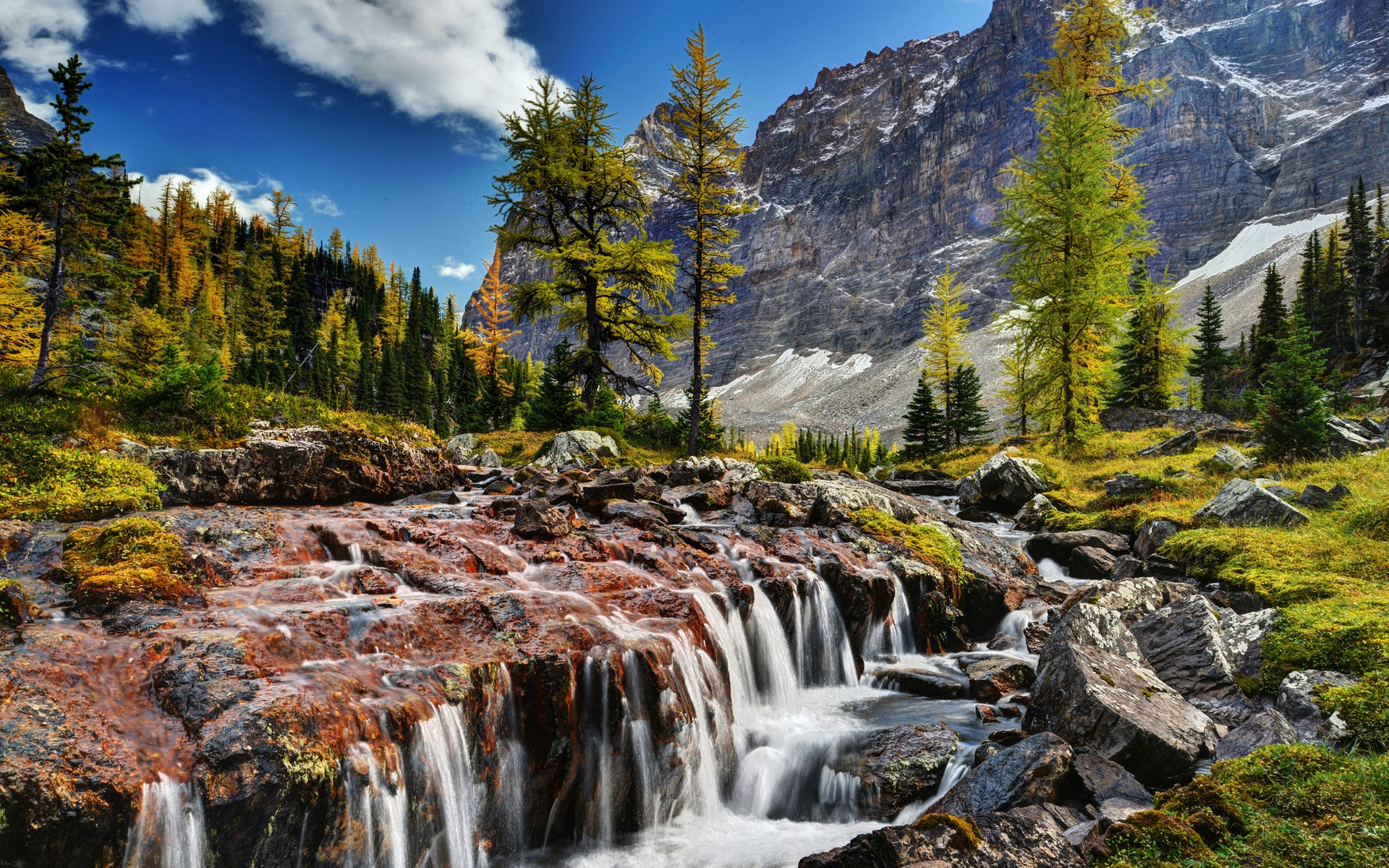 Mountain stream flowing over rocks with autumn trees HD Wallpaper