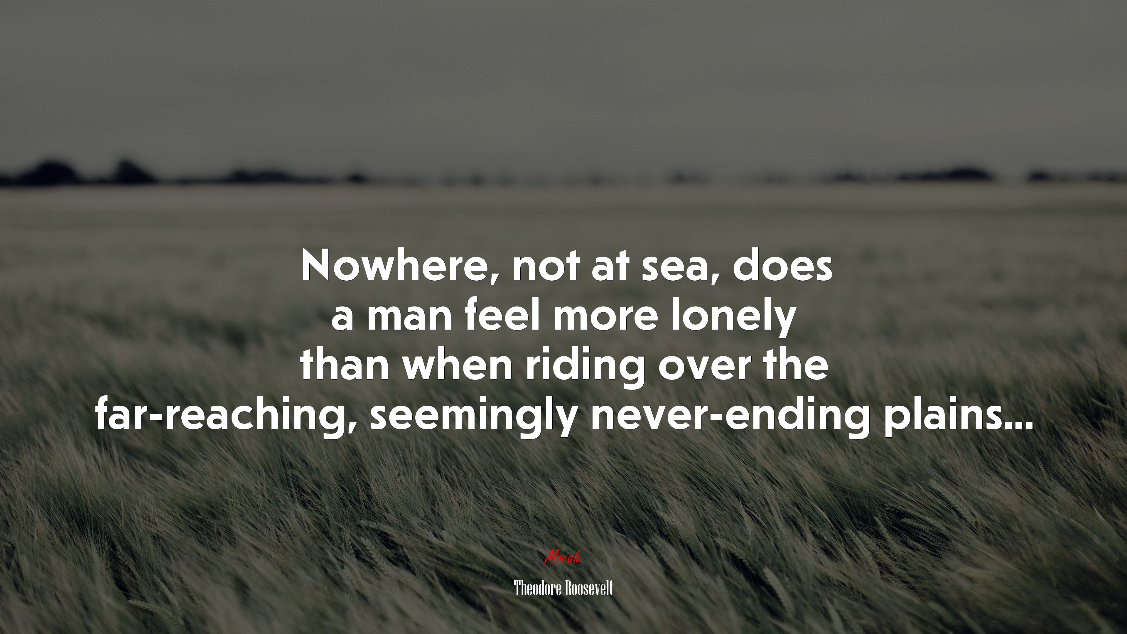 Nowhere, not at sea, does a man feel more lonely than when riding over the far-reaching, seemingly never-ending plains... | Theodore Roosevelt quote HD Wallpaper
