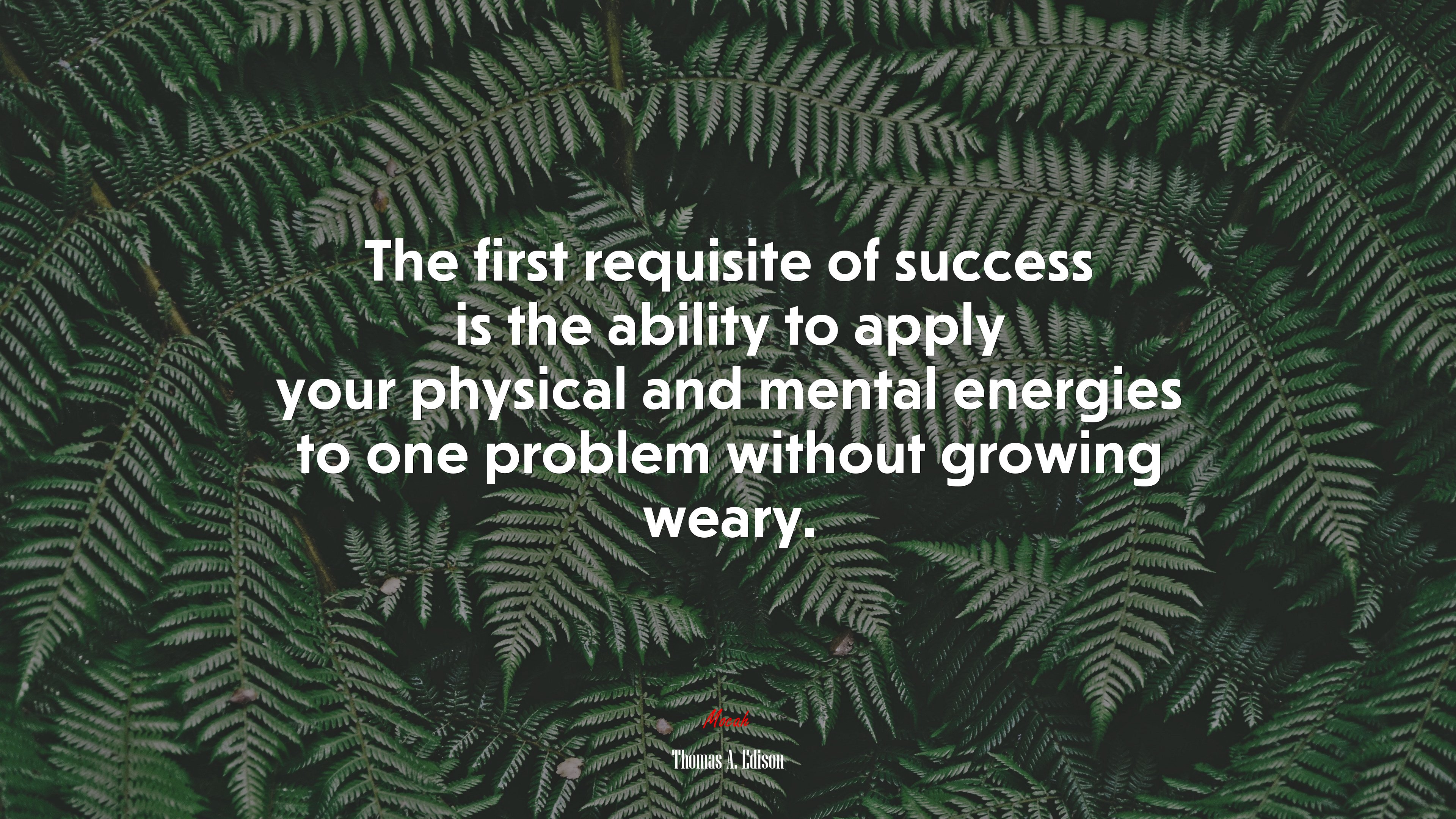 The first requisite of success is the ability to apply your physical and mental energies to one problem without growing weary. | Thomas A. Edison quote HD Wallpaper