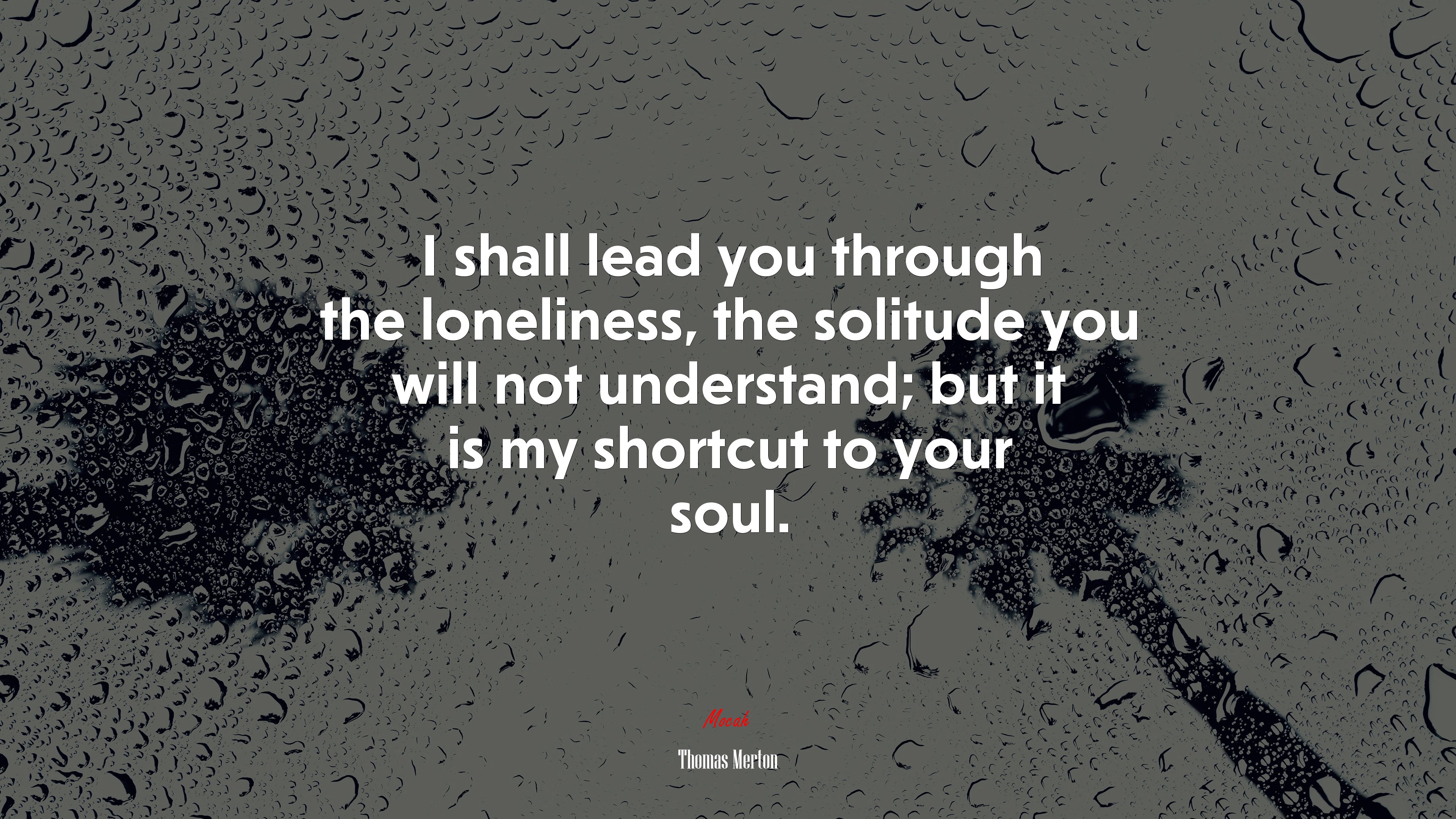 I shall lead you through the loneliness, the solitude you will not understand; but it is my shortcut to your soul. | Thomas Merton quote HD Wallpaper