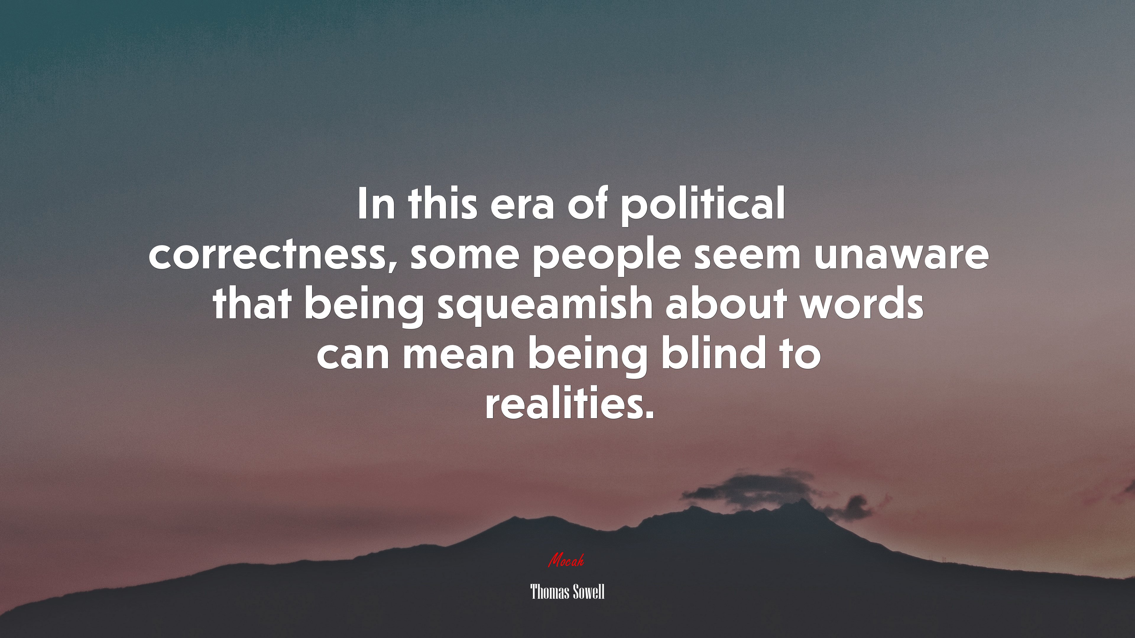 In this era of political correctness, some people seem unaware that being squeamish about words can mean being blind to realities. | Thomas Sowell quote HD Wallpaper