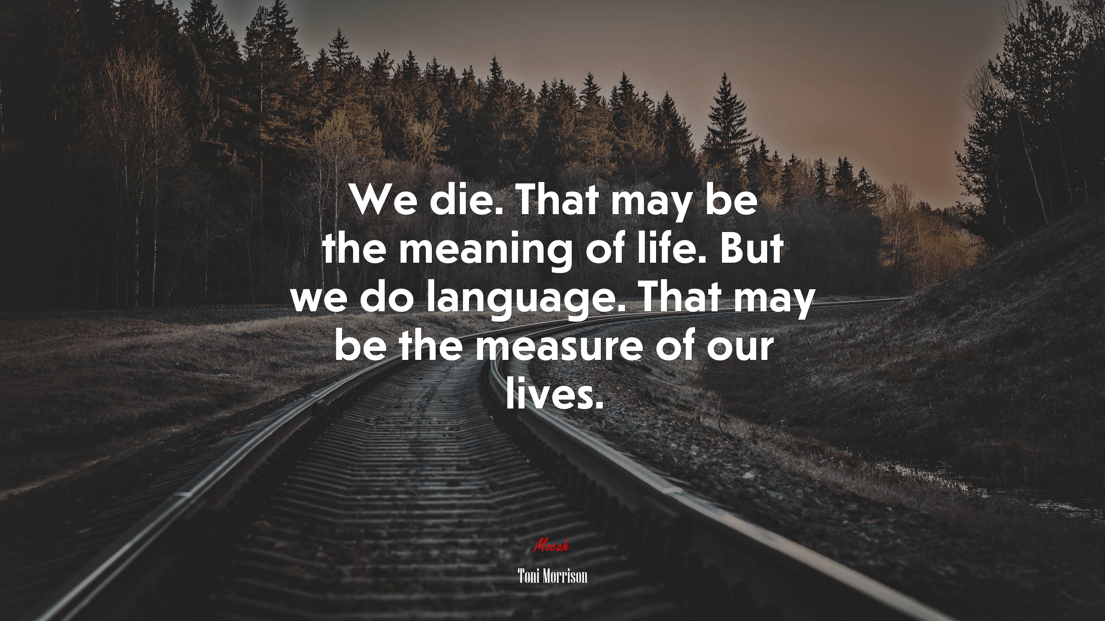We die. That may be the meaning of life. But we do language. That may be the measure of our lives. | Toni Morrison quote HD Wallpaper