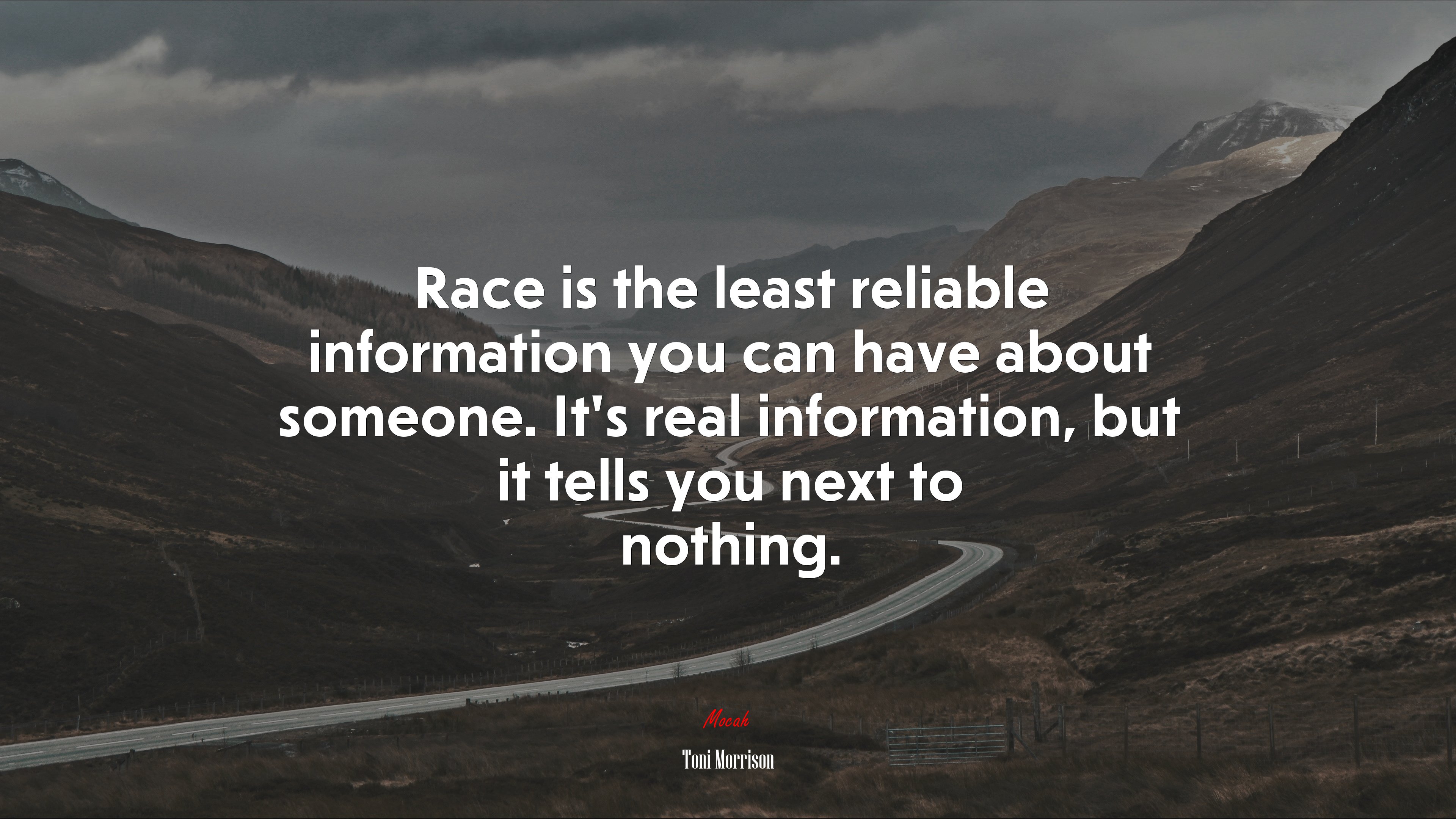 Race is the least reliable information you can have about someone. It’s real information, but it tells you next to nothing. | Toni Morrison quote HD Wallpaper