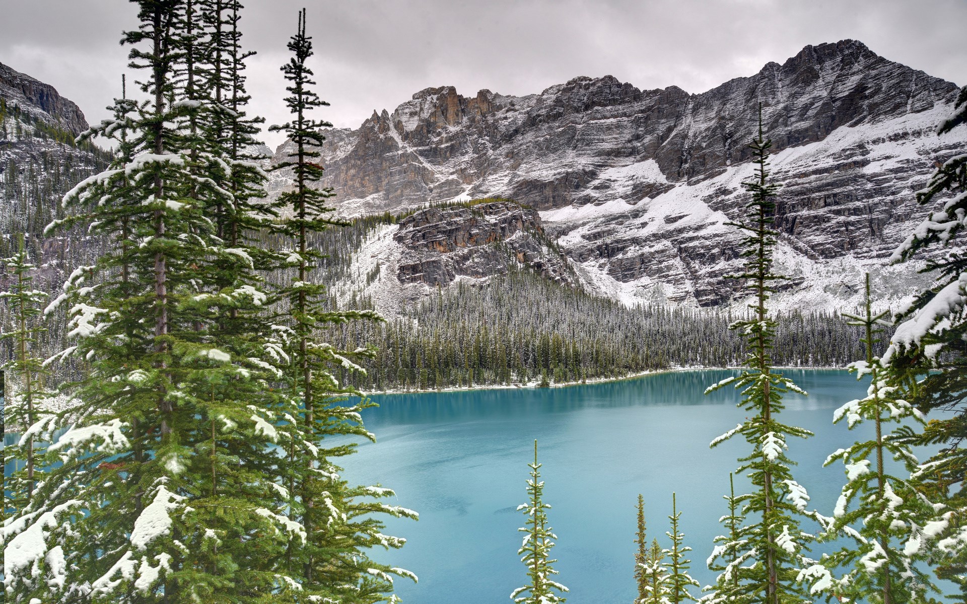 Snow-covered pine trees and turquoise lake with mountains HD Wallpaper