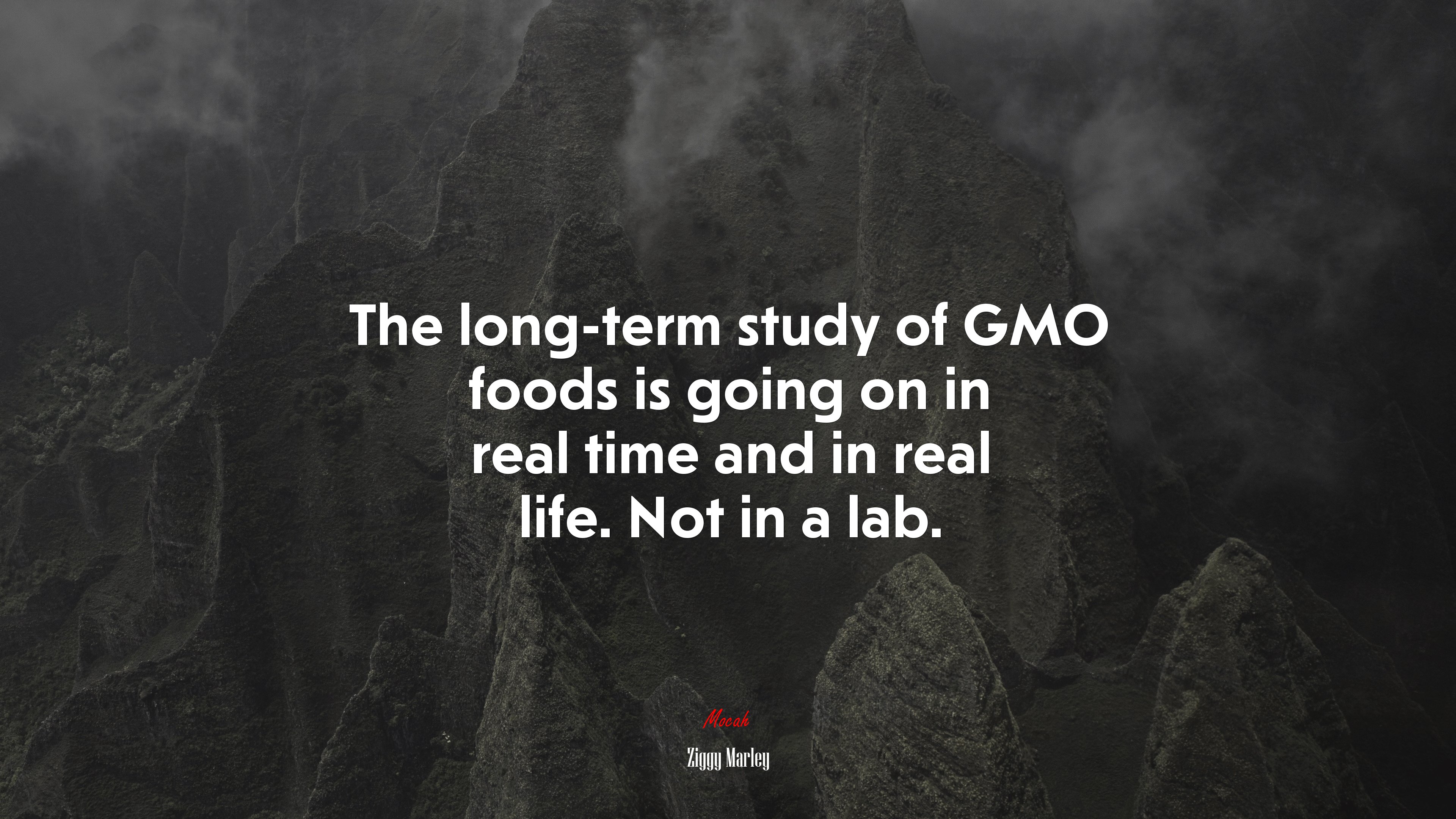 The long-term study of GMO foods is going on in real time and in real life. Not in a lab. | Ziggy Marley quote HD Wallpaper