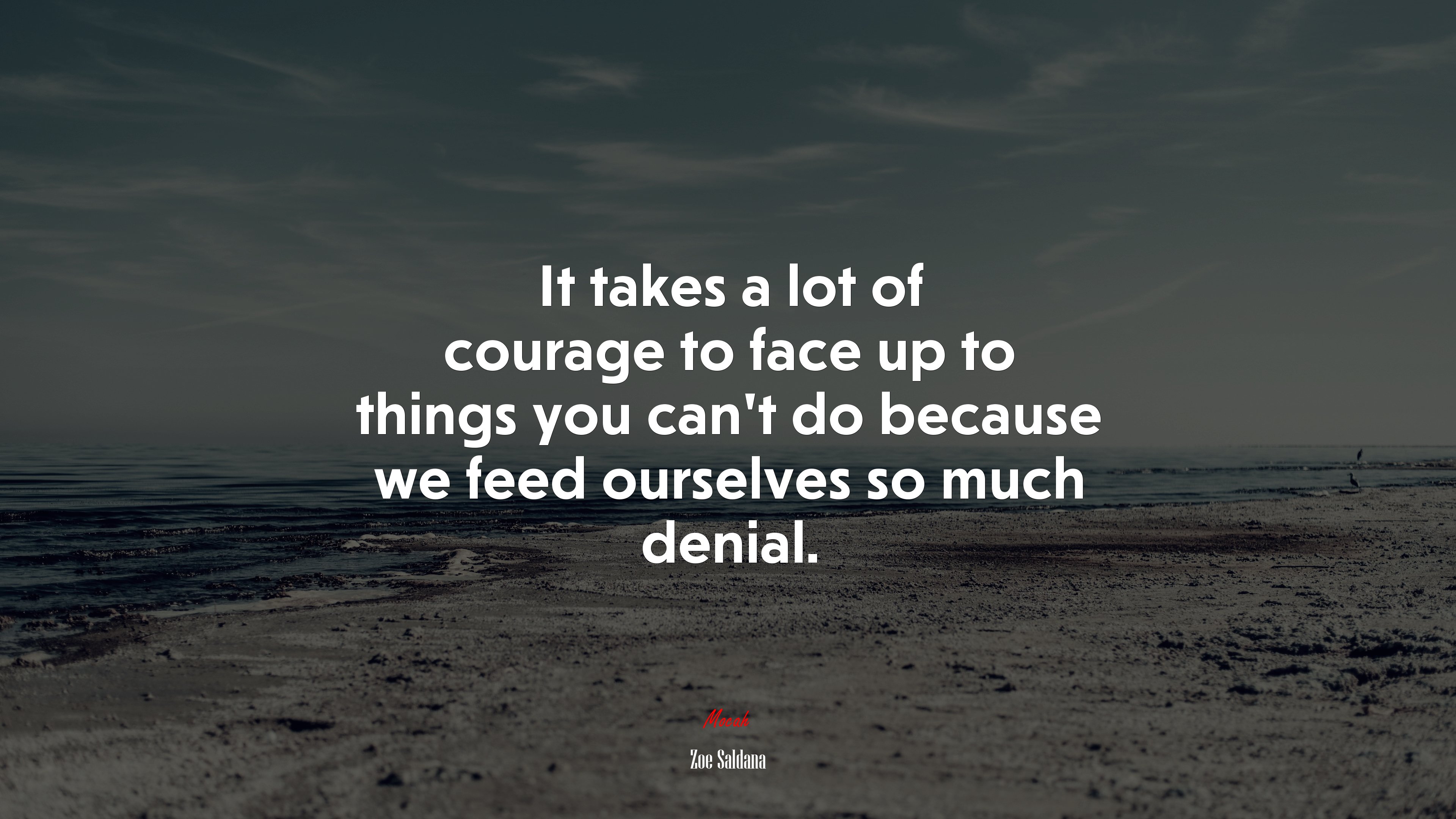 It takes a lot of courage to face up to things you can’t do because we feed ourselves so much denial. | Zoe Saldana quote HD Wallpaper