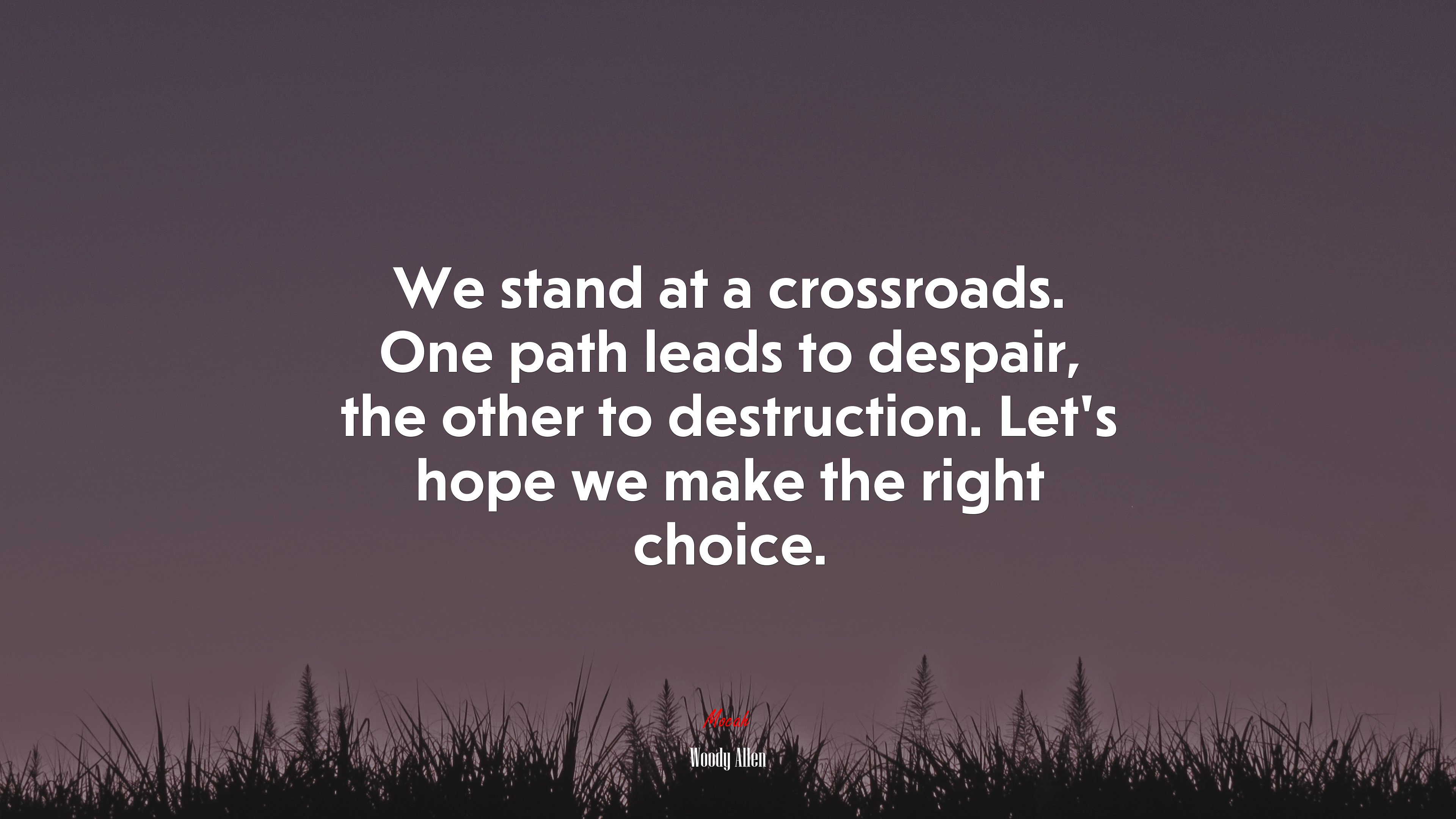 We stand at a crossroads. One path leads to despair, the other to destruction. Let’s hope we make the right choice. | Woody Allen quote HD Wallpaper
