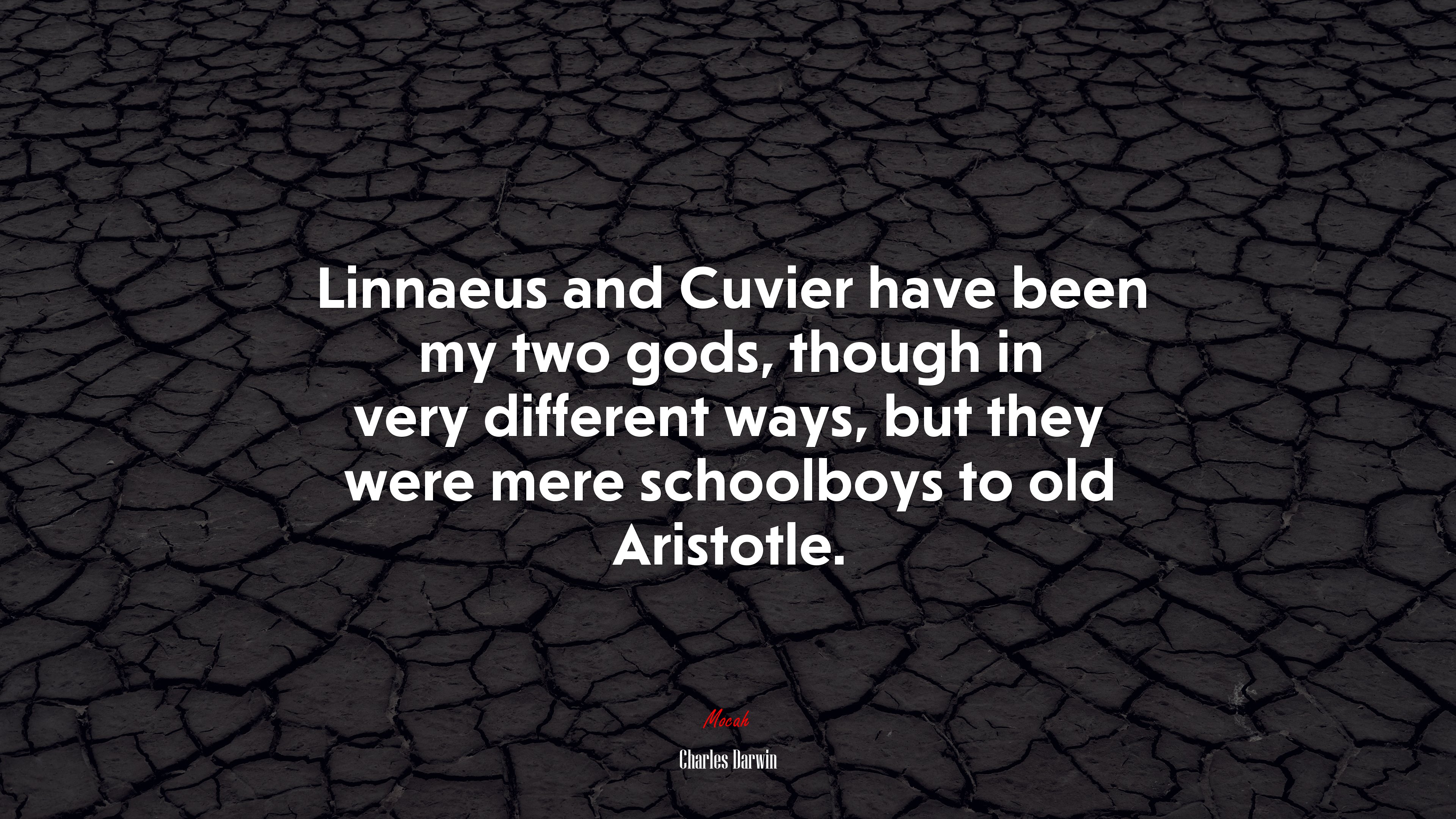 Linnaeus and Cuvier have been my two gods, though in very different ways, but they were mere schoolboys to old Aristotle. | Charles Darwin quote HD Wallpaper