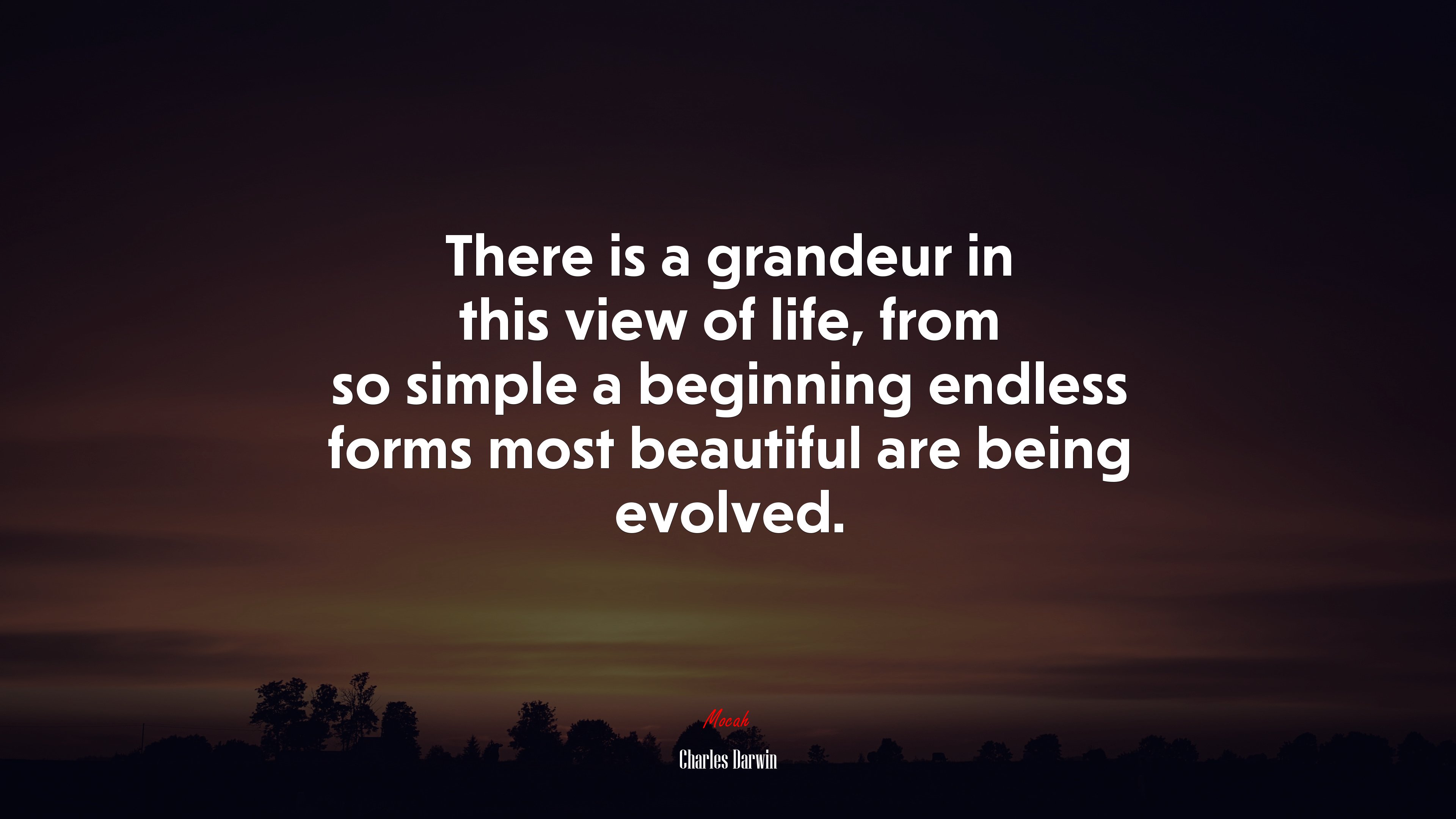 There is a grandeur in this view of life, from so simple a beginning endless forms most beautiful are being evolved. | Charles Darwin quote HD Wallpaper