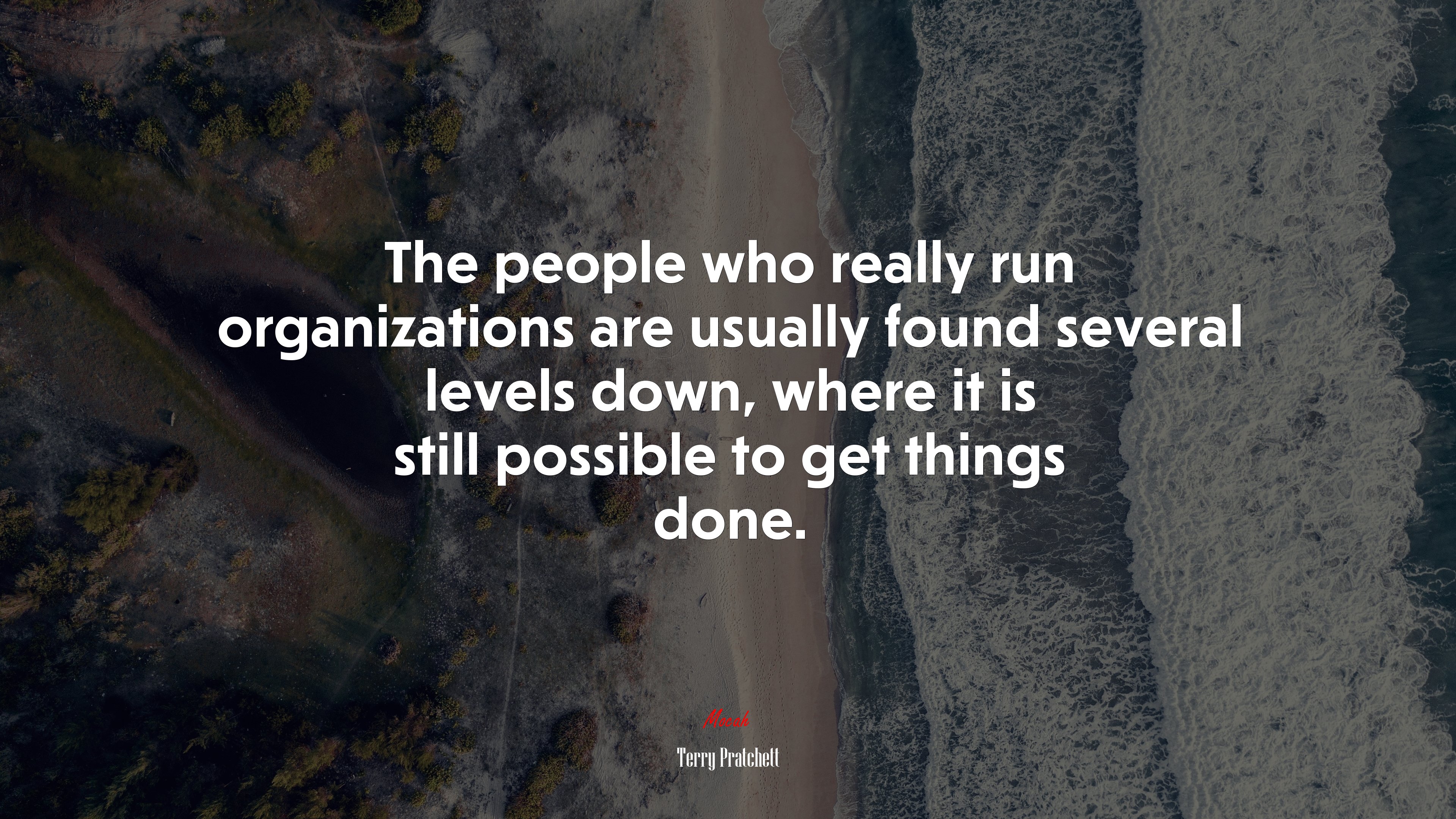 The people who really run organizations are usually found several levels down, where it is still possible to get things done. | Terry Pratchett quote HD Wallpaper