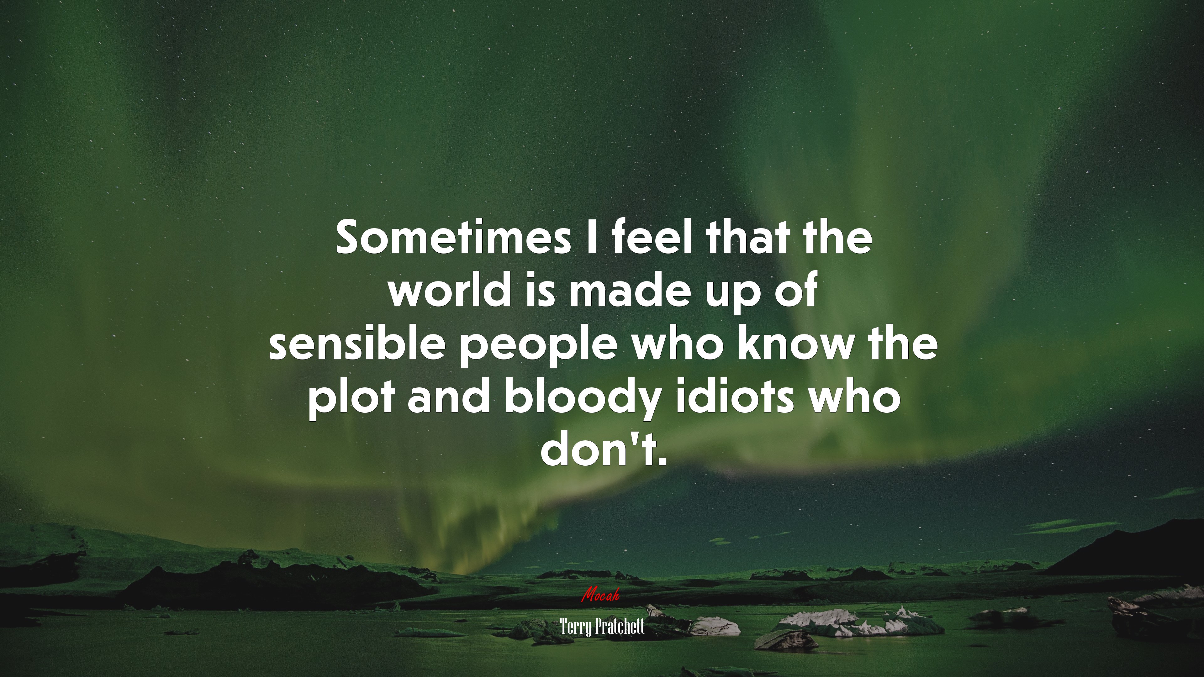 Sometimes I feel that the world is made up of sensible people who know the plot and bloody idiots who don’t. | Terry Pratchett quote HD Wallpaper