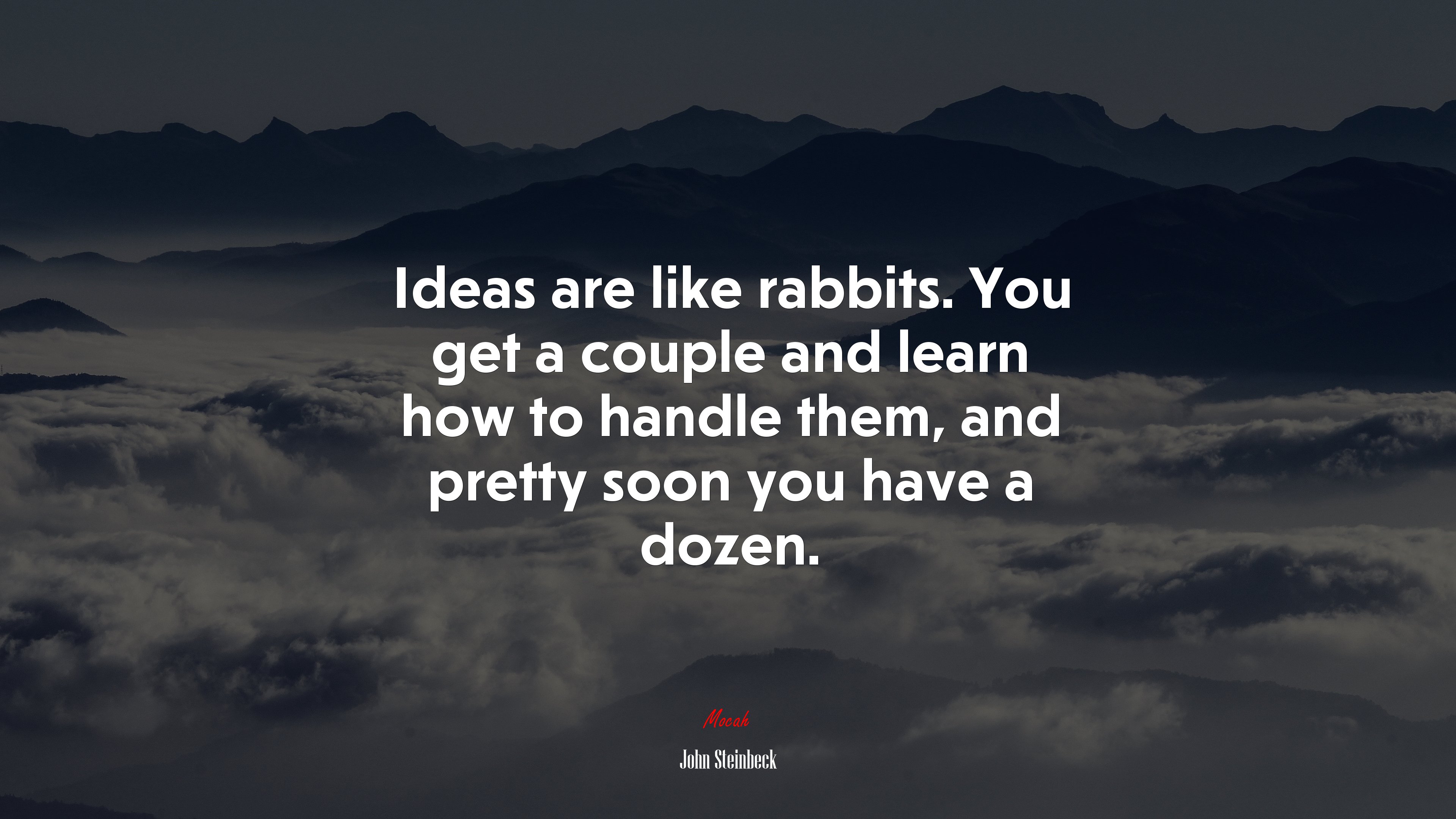 Ideas are like rabbits. You get a couple and learn how to handle them, and pretty soon you have a dozen. | John Steinbeck quote HD Wallpaper