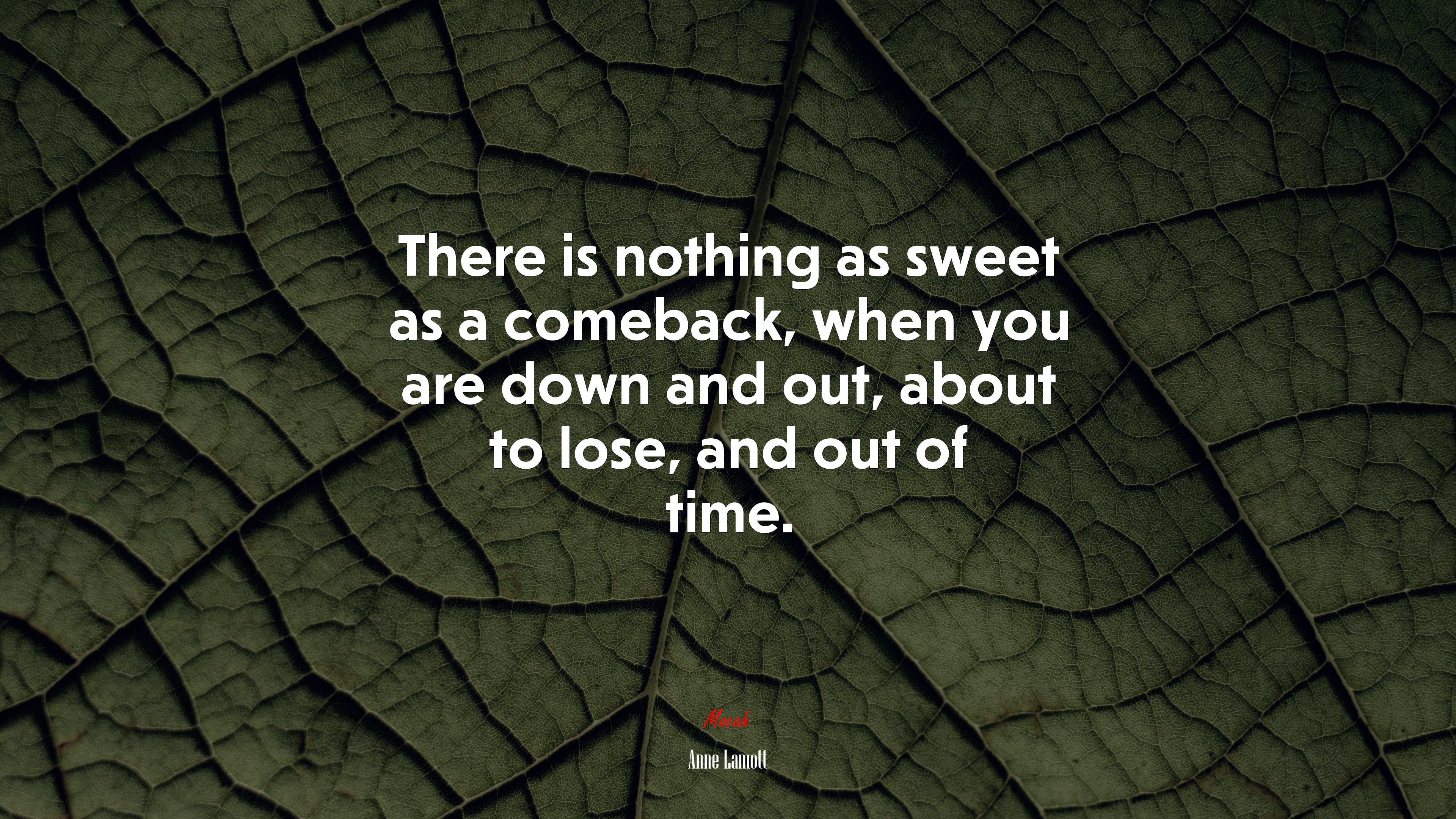 There is nothing as sweet as a comeback, when you are down and out, about to lose, and out of time. | Anne Lamott quote HD Wallpaper
