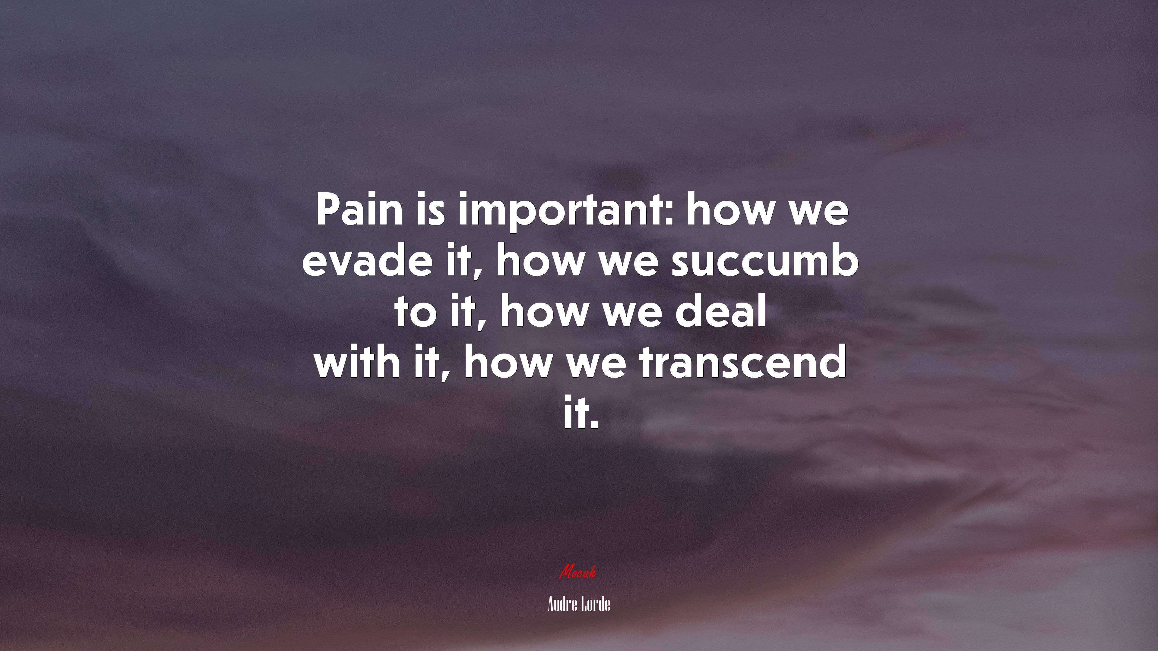 Pain is important: how we evade it, how we succumb to it, how we deal with it, how we transcend it. | Audre Lorde quote HD Wallpaper