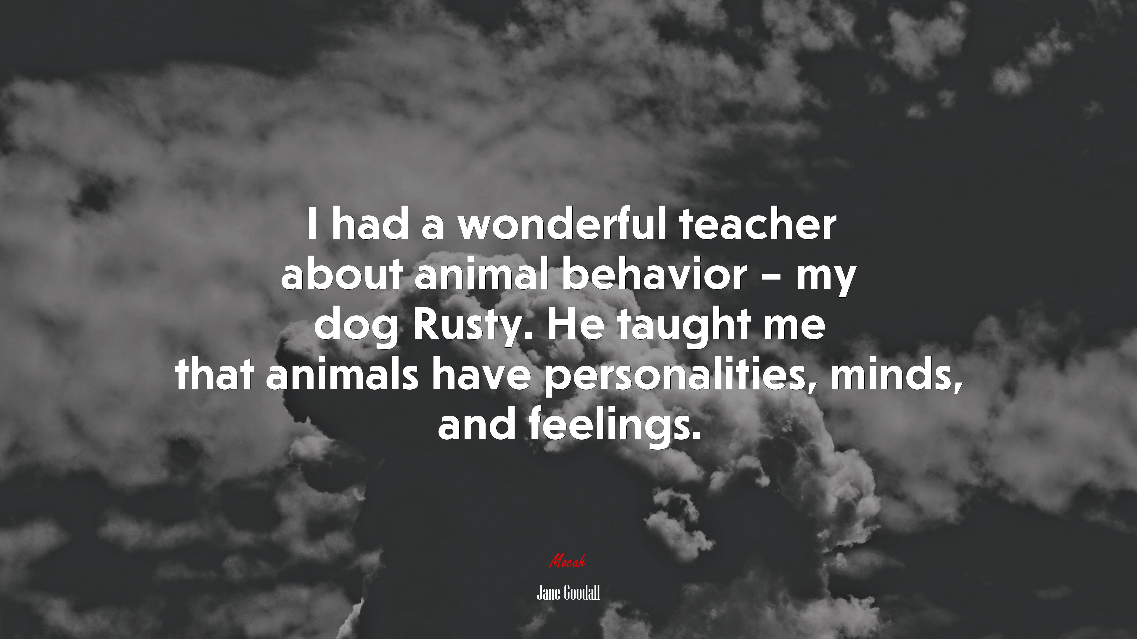 I had a wonderful teacher about animal behavior – my dog Rusty. He taught me that animals have personalities, minds, and feelings. | Jane Goodall quote HD Wallpaper